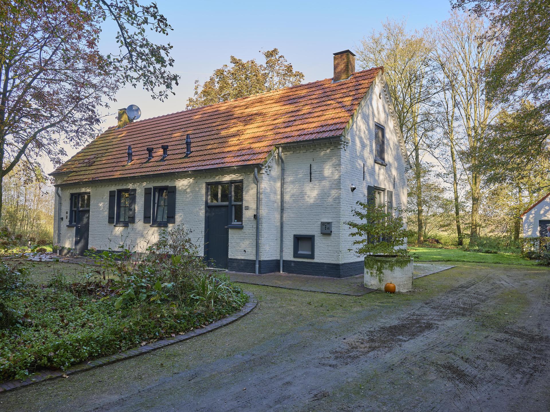 Knus vakantiehuis in bosrijke omgeving bij Erp, Brabant - foto 18