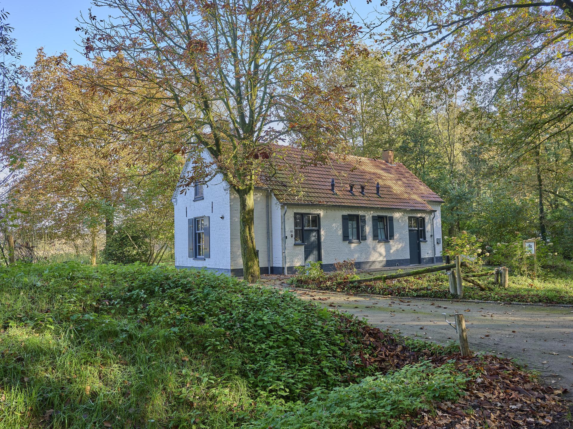 Gezellig vakantiehuis aan de bosrand in Erp voor 5 personen - foto 42