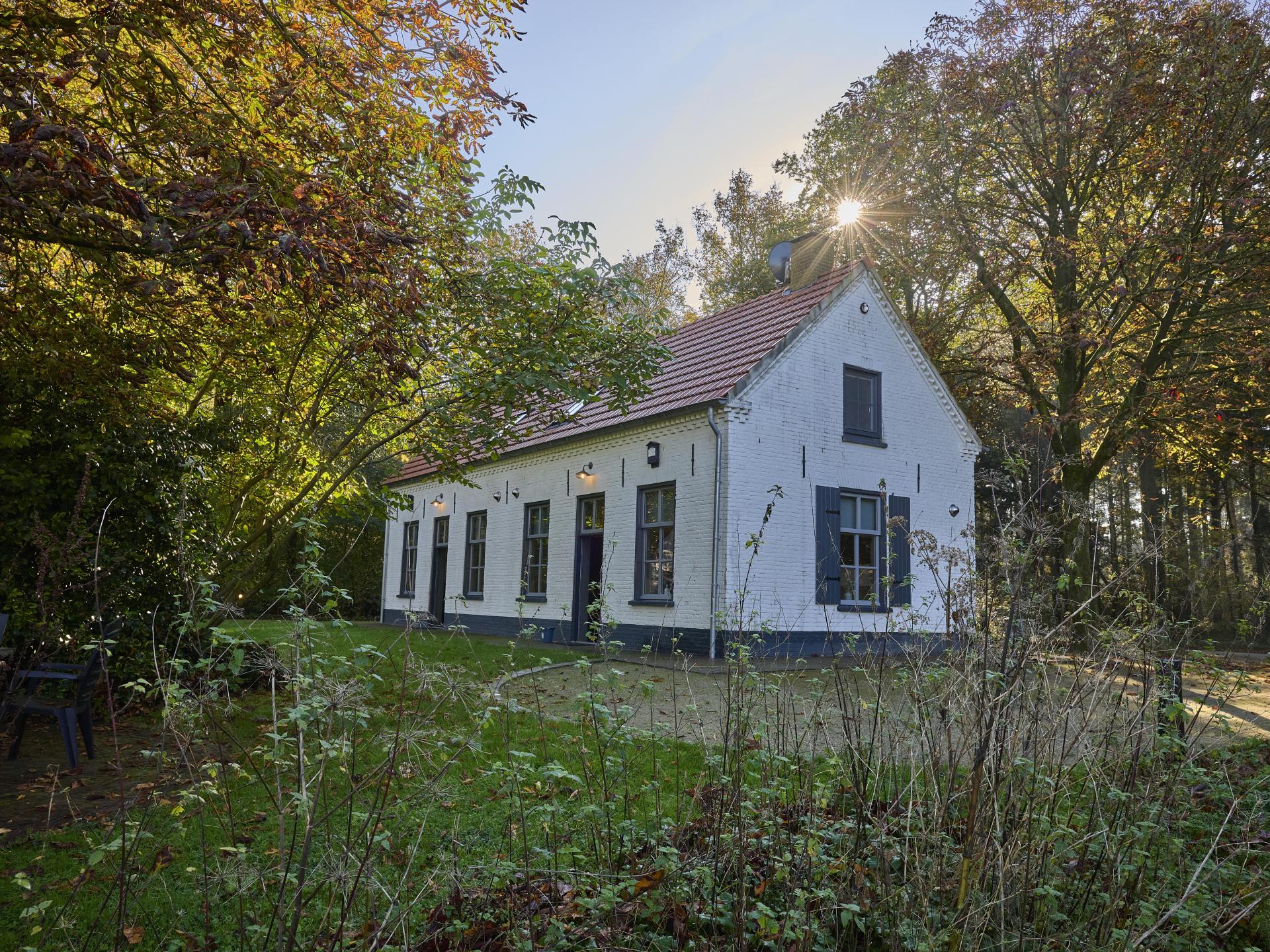 Gezellige groepswoning aan de bosrand in Erp voor 10 personen - foto 58