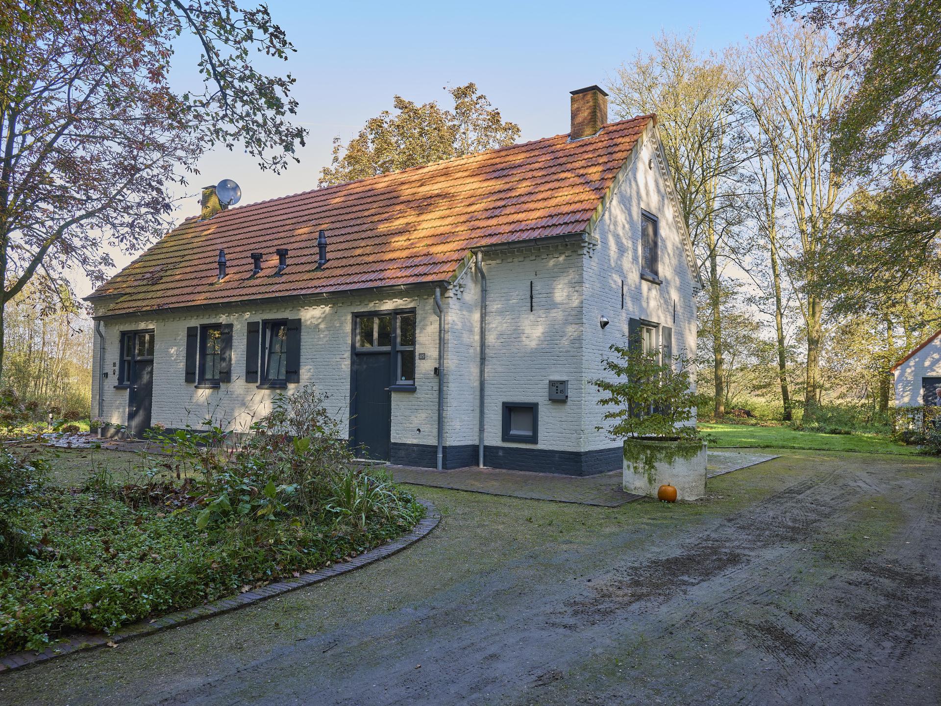 Gezellige groepswoning aan de bosrand in Erp voor 10 personen - foto 65