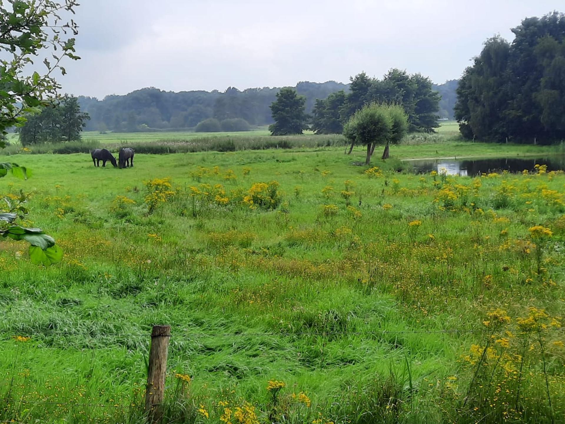 Vrijstaande villa met hottub en panoramisch uitzicht over natuurgebied - foto 40