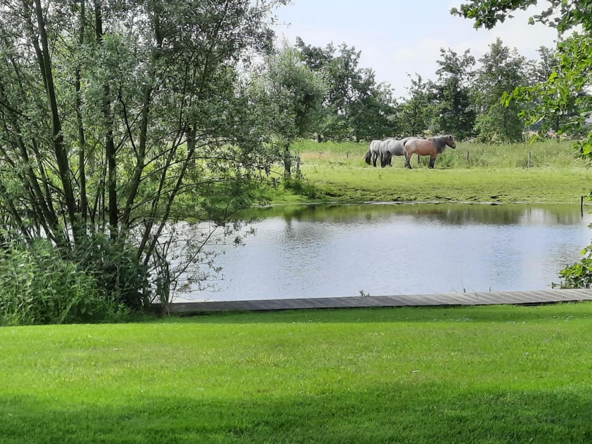 Vrijstaande villa met hottub en panoramisch uitzicht over natuurgebied - foto 39