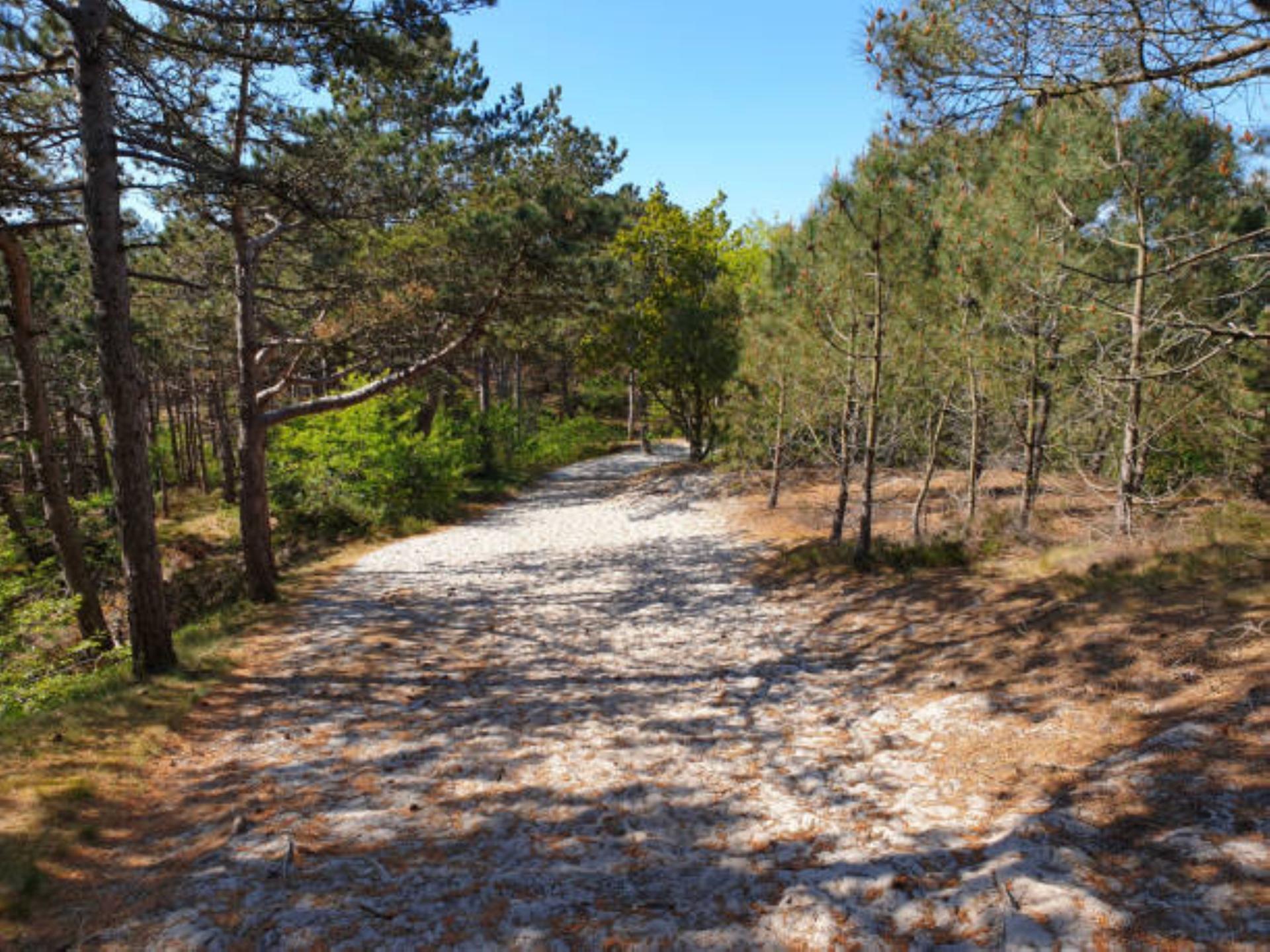 Vrijstaande vakantiewoning bij de Schoorlse Duinen | 4 personen - foto 29