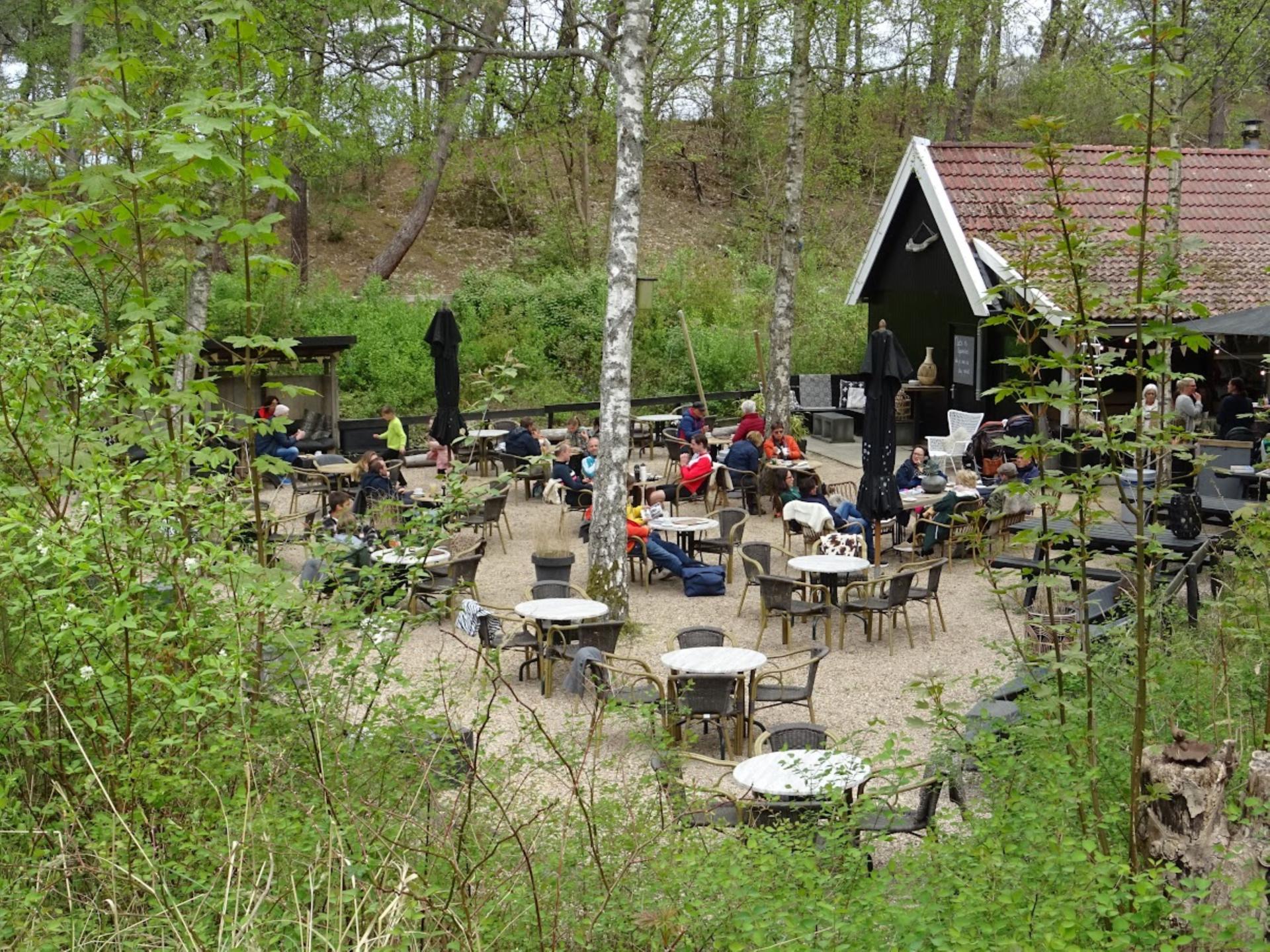Vrijstaande vakantiewoning bij de Schoorlse Duinen | 4 personen - foto 28