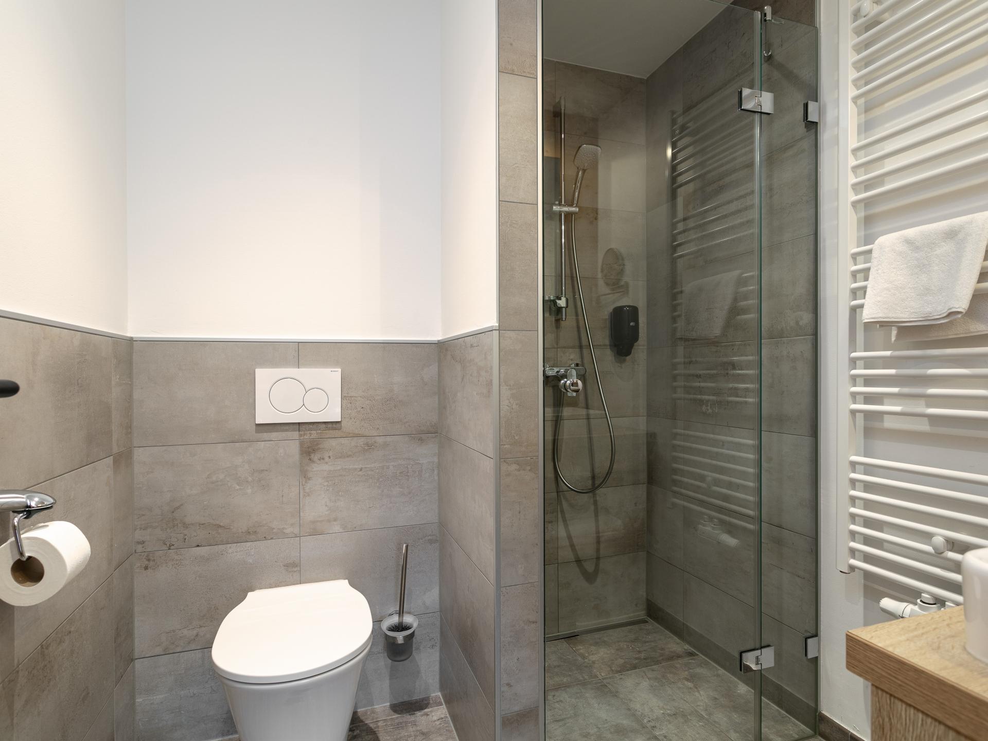 Stijlvol appartement in Haus im Ennstal met eigen sauna, vlakbij de piste - foto 29