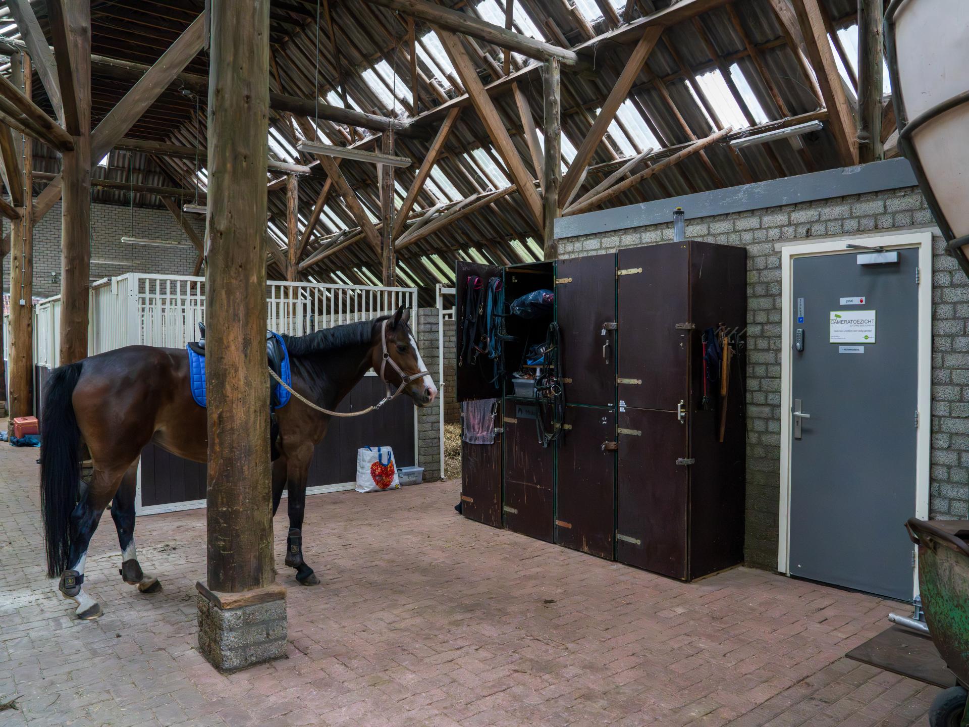 Landelijke Luxe bij Manege met Bubbelbad in Veendam - foto 22