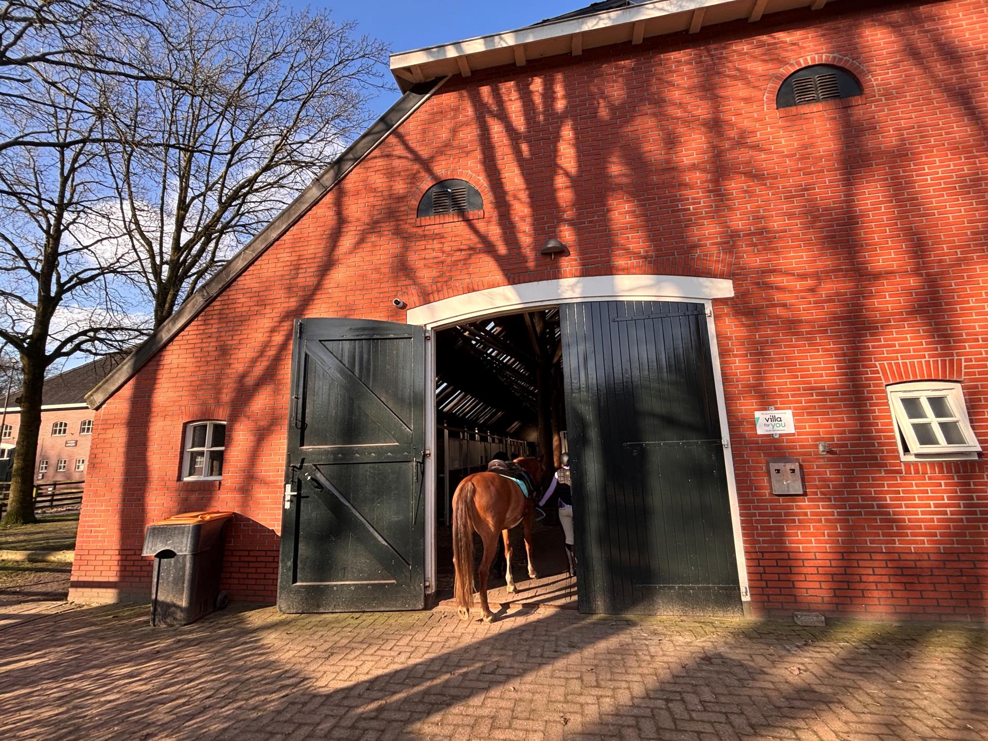Landelijke Luxe bij Manege met Bubbelbad in Veendam - foto 35