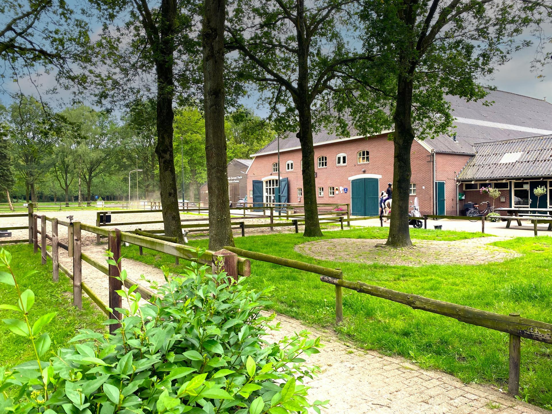 Landelijke Luxe bij Manege met Bubbelbad in Veendam - foto 3
