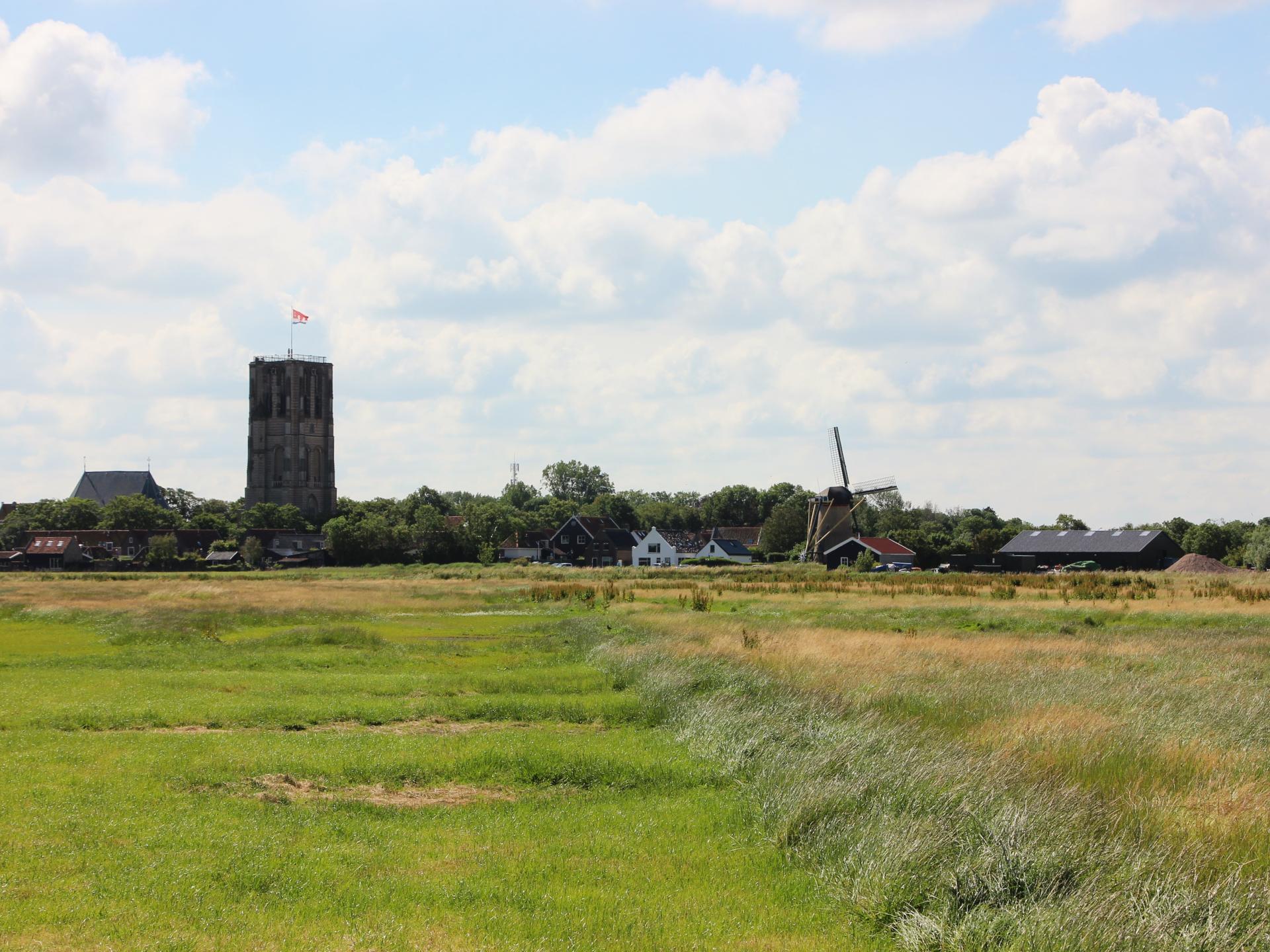 Sfeervol Tiny House in Goedereede, 5 km van het Noordzeestrand - foto 15