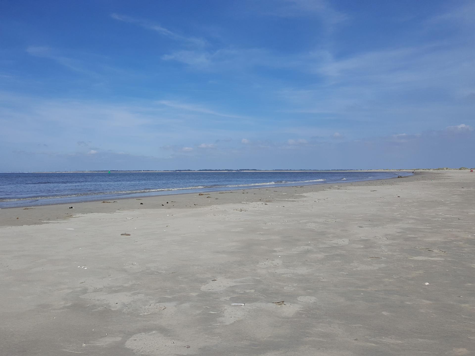 Sfeervol Tiny House in Goedereede, 5 km van het Noordzeestrand - foto 23