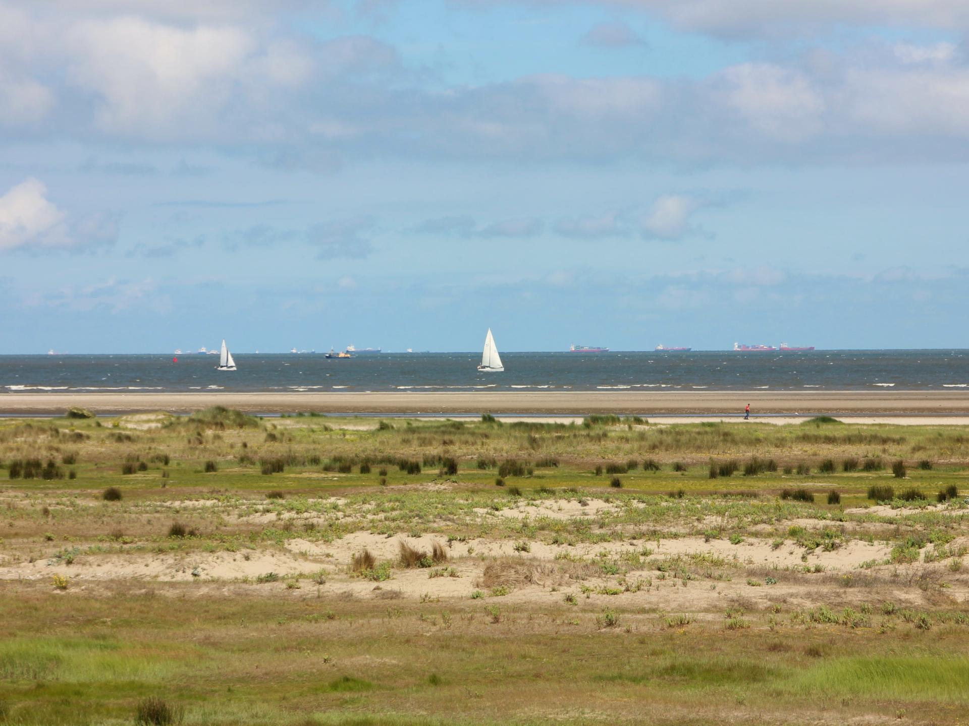 Sfeervol Tiny House in Goedereede, 5 km van het Noordzeestrand - foto 14