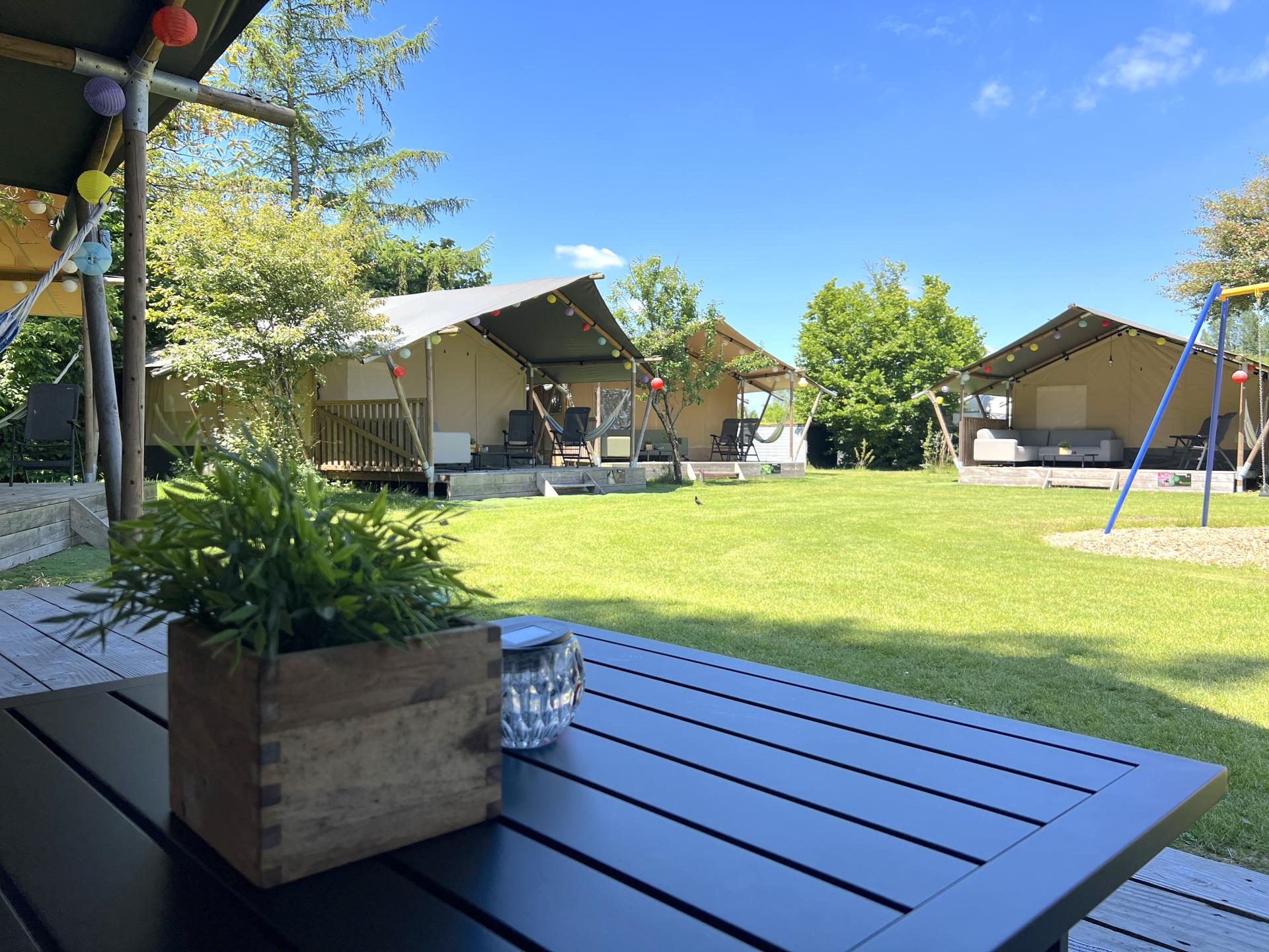Luxe safaritent op sfeervol Veluws park, nabij bos en water - foto 26
