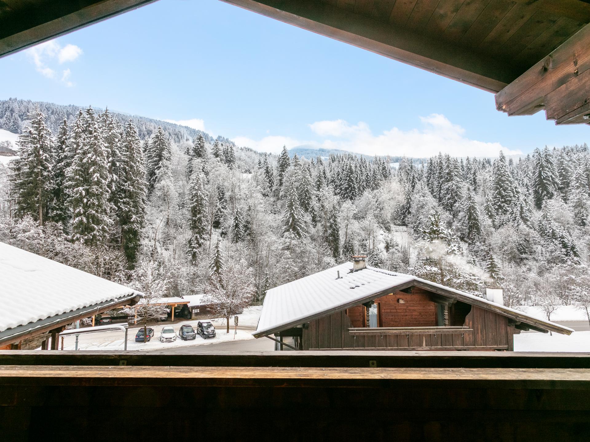 Twee sfeervolle appartementen direct aan de skilift in Alpbach - foto 27