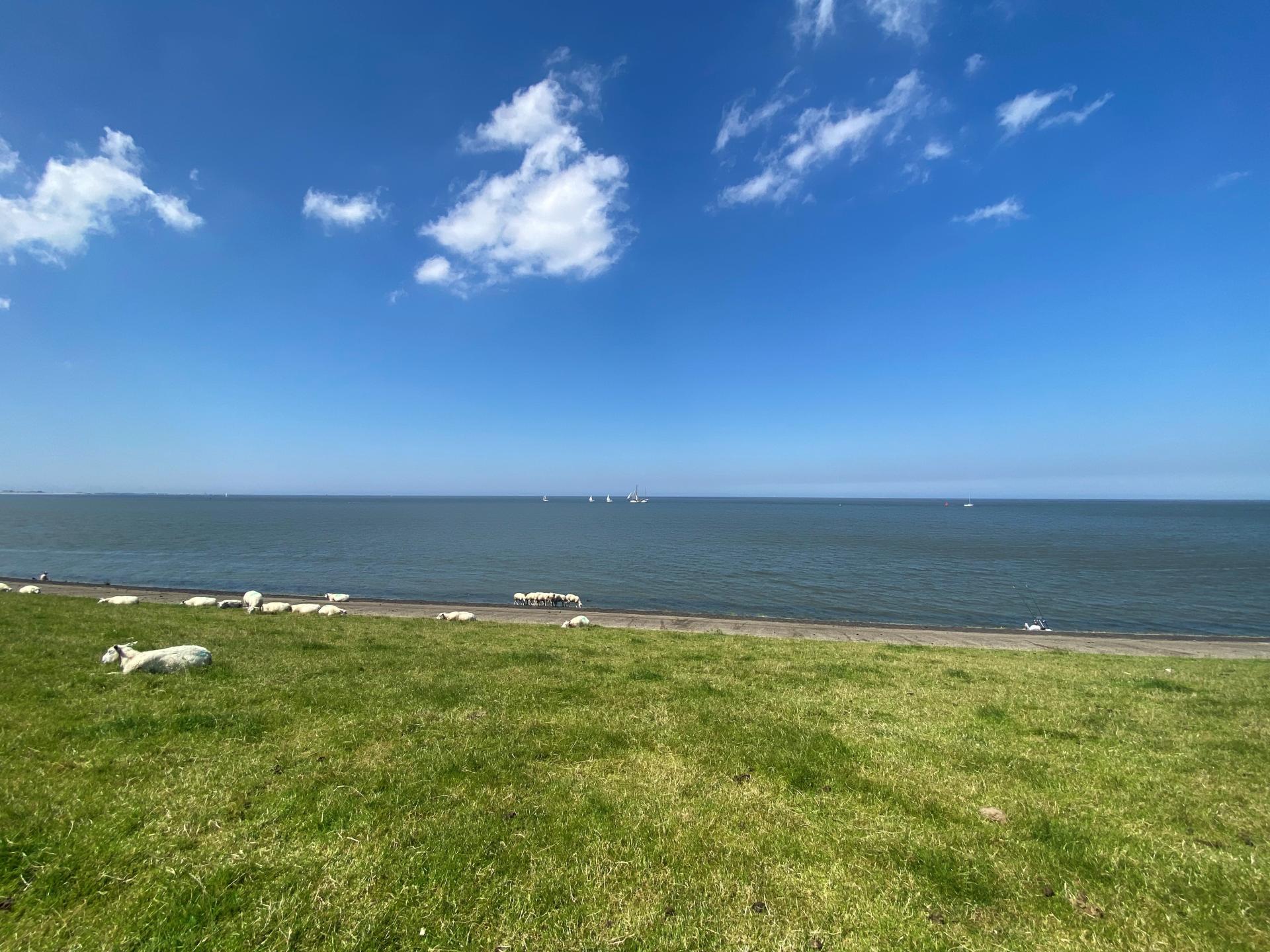 Sfeervol Koetshuis bij het Wad met weids uitzicht over Friese weilanden - foto 51