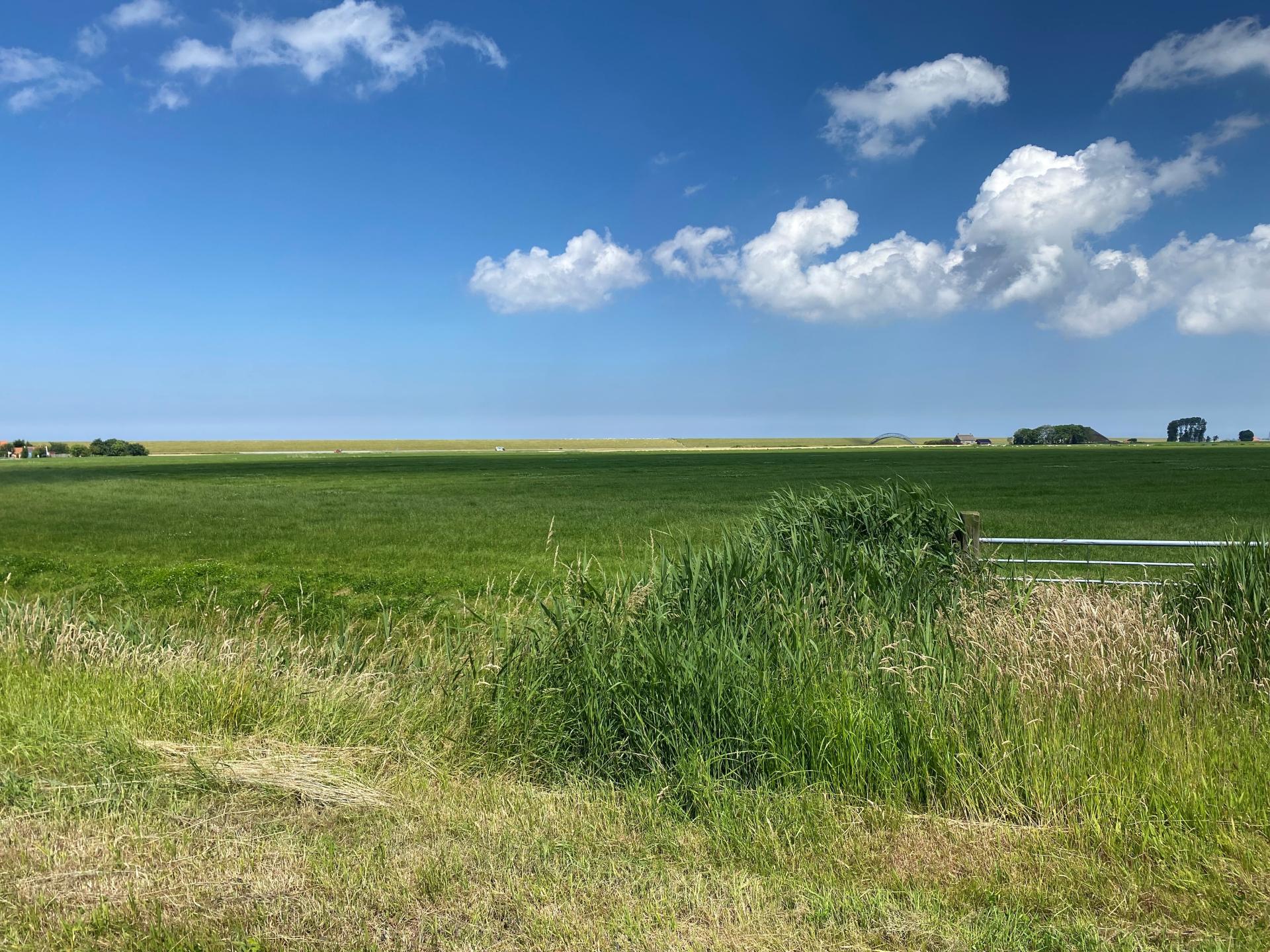 Sfeervol Koetshuis bij het Wad met weids uitzicht over Friese weilanden - foto 48