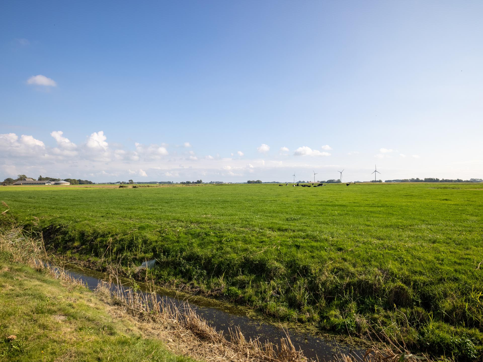 Sfeervol Koetshuis bij het Wad met weids uitzicht over Friese weilanden - foto 50