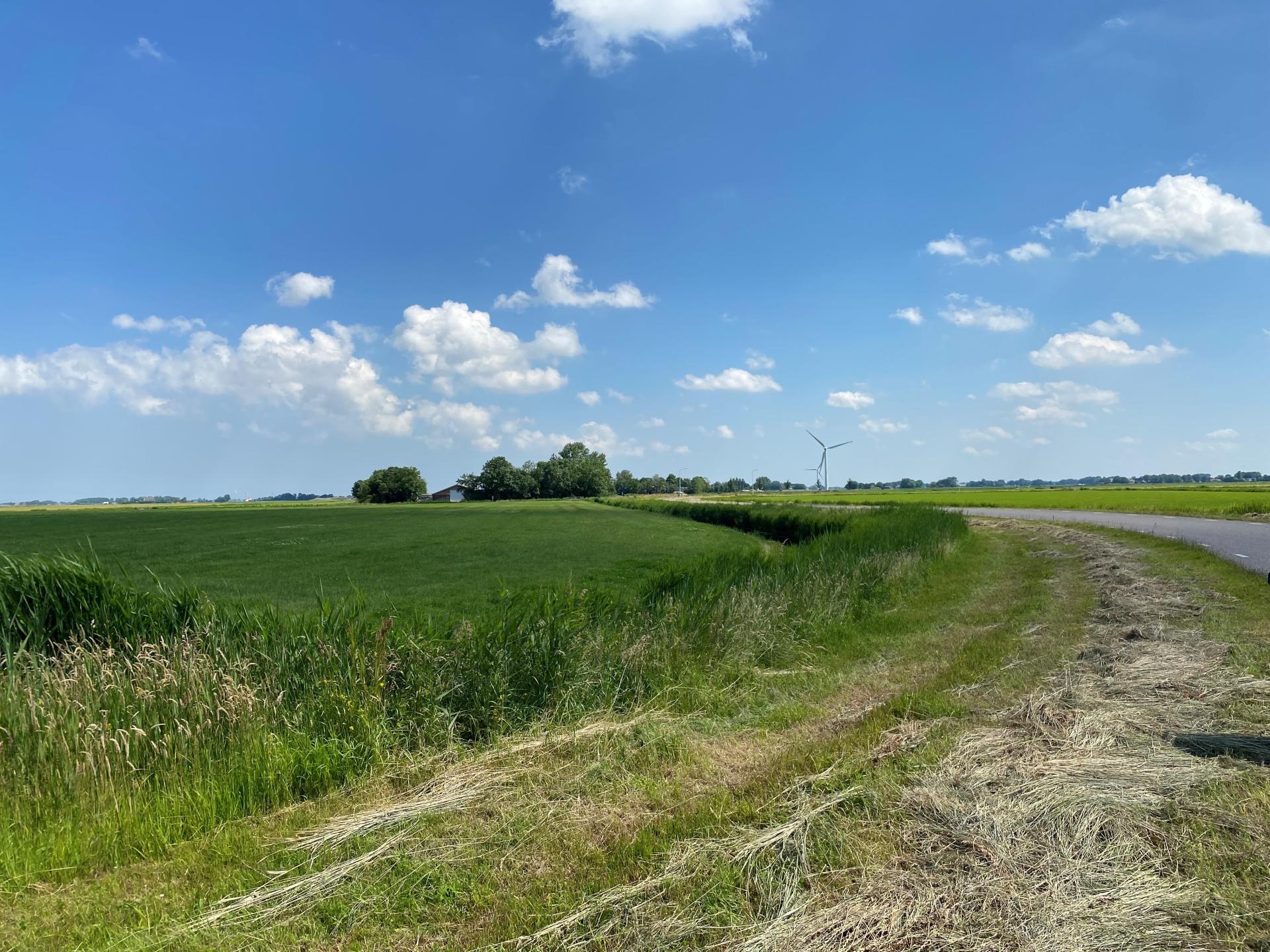 Sfeervol Koetshuis bij het Wad met weids uitzicht over Friese weilanden - foto 47