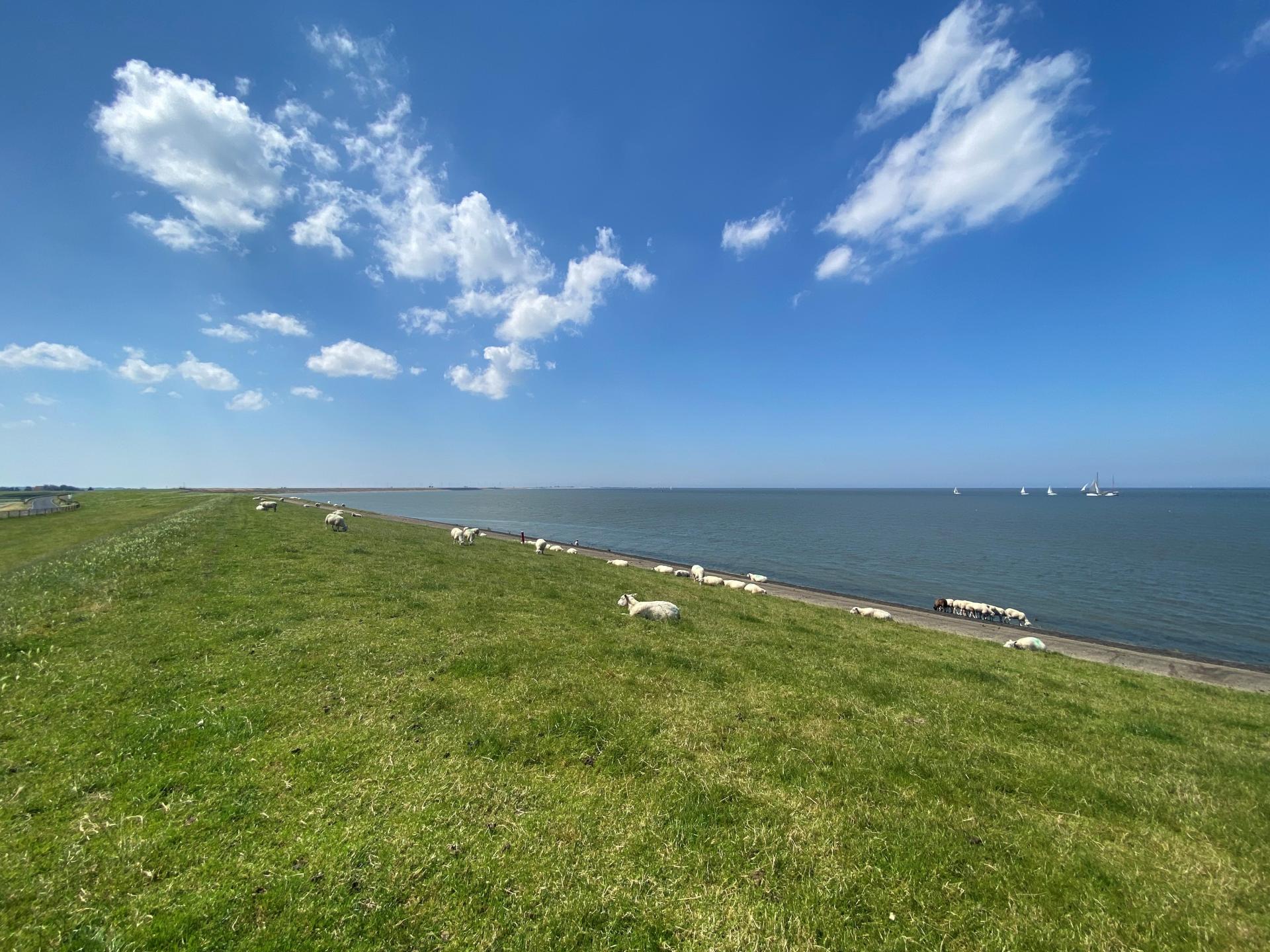 Sfeervol Koetshuis bij het Wad met weids uitzicht over Friese weilanden - foto 49