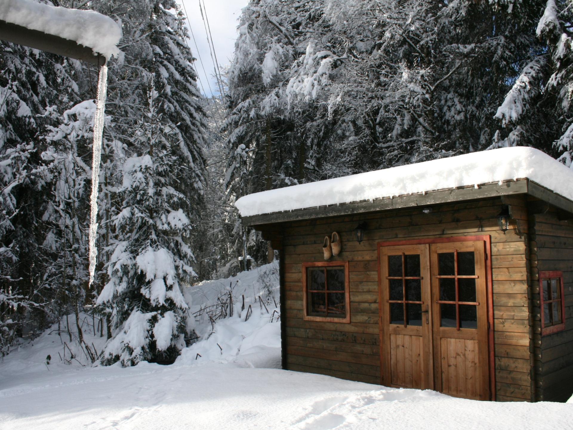 12-persoons ruim vakantiehuis in Gnesau met sauna en grote tuin - foto 53