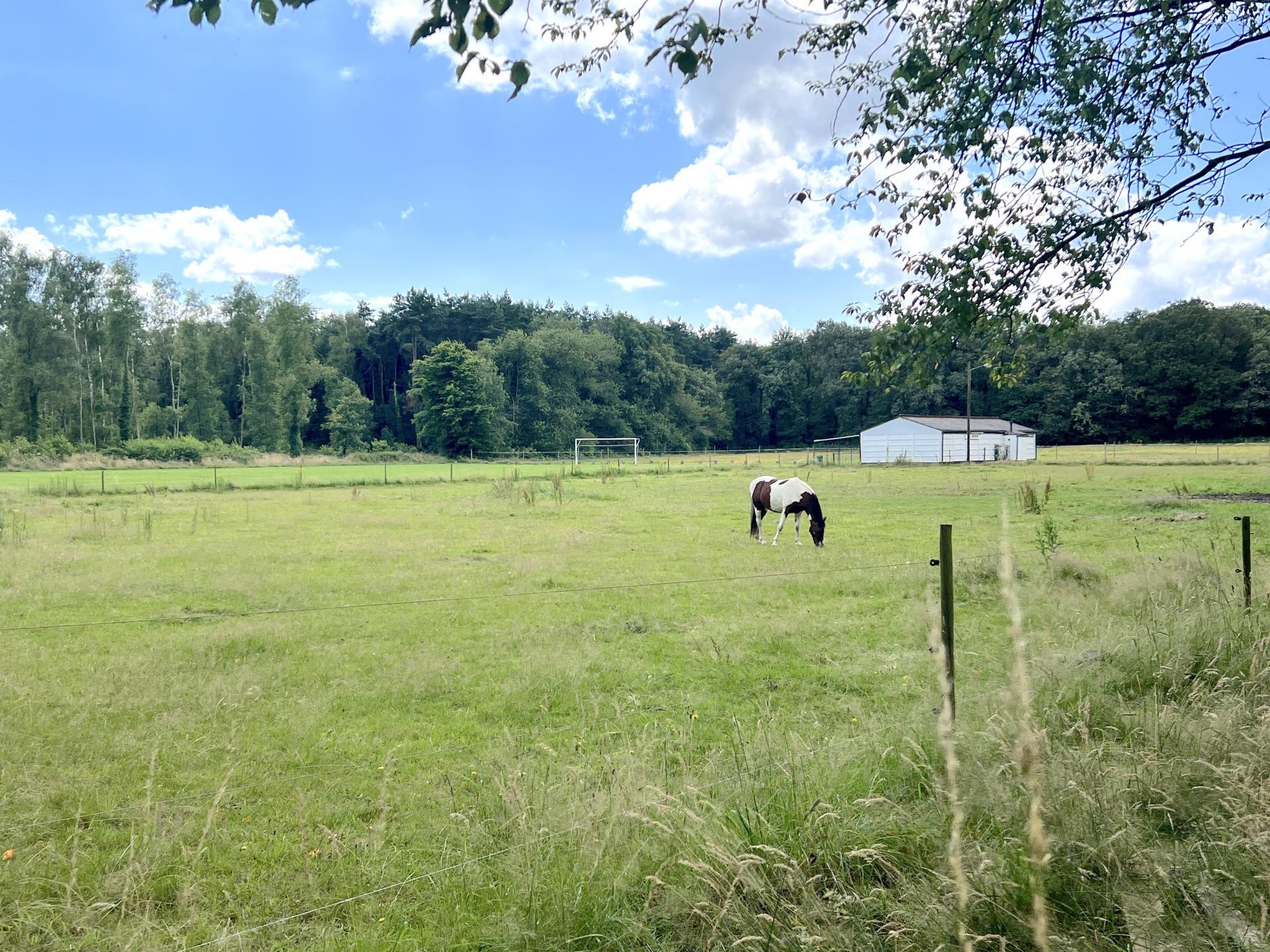 Op 700m van het centrum: ruim vakantiehuis in Oudsbergen voor 8 personen - foto 45