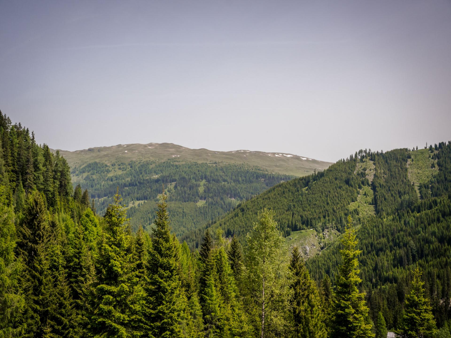 Groepsappartement op 1700m in de Nockberge, 13 personen - foto 23