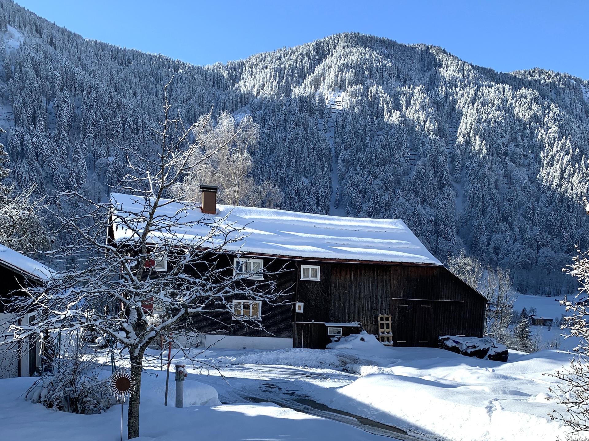 Sfeervolle 18e-eeuwse boerderij nabij het skigebied Sonnenkopf in Dalaas - foto 38