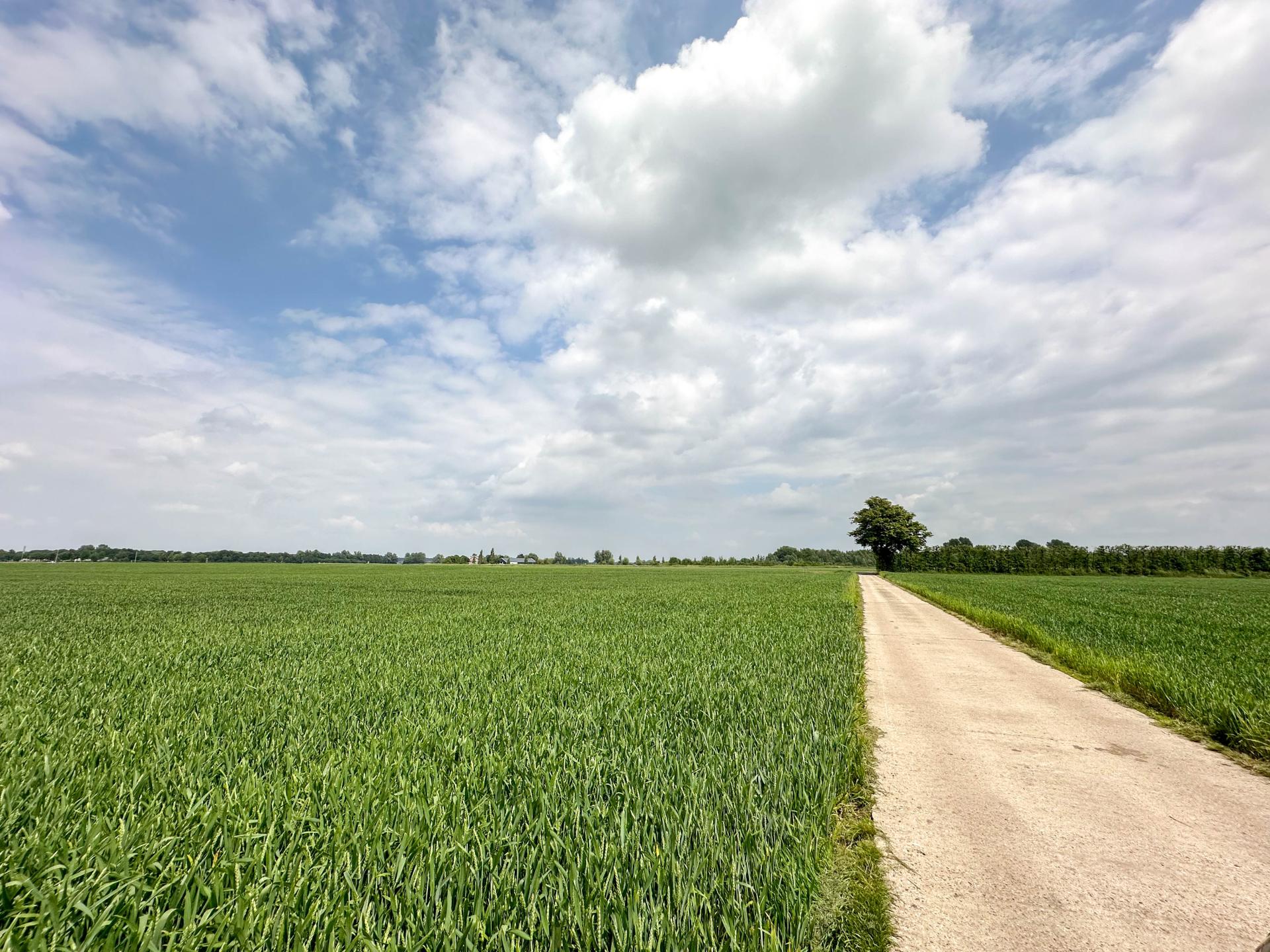 Vrijstaand groepshuis met privézwembad in het Zeeuwse land - foto 45