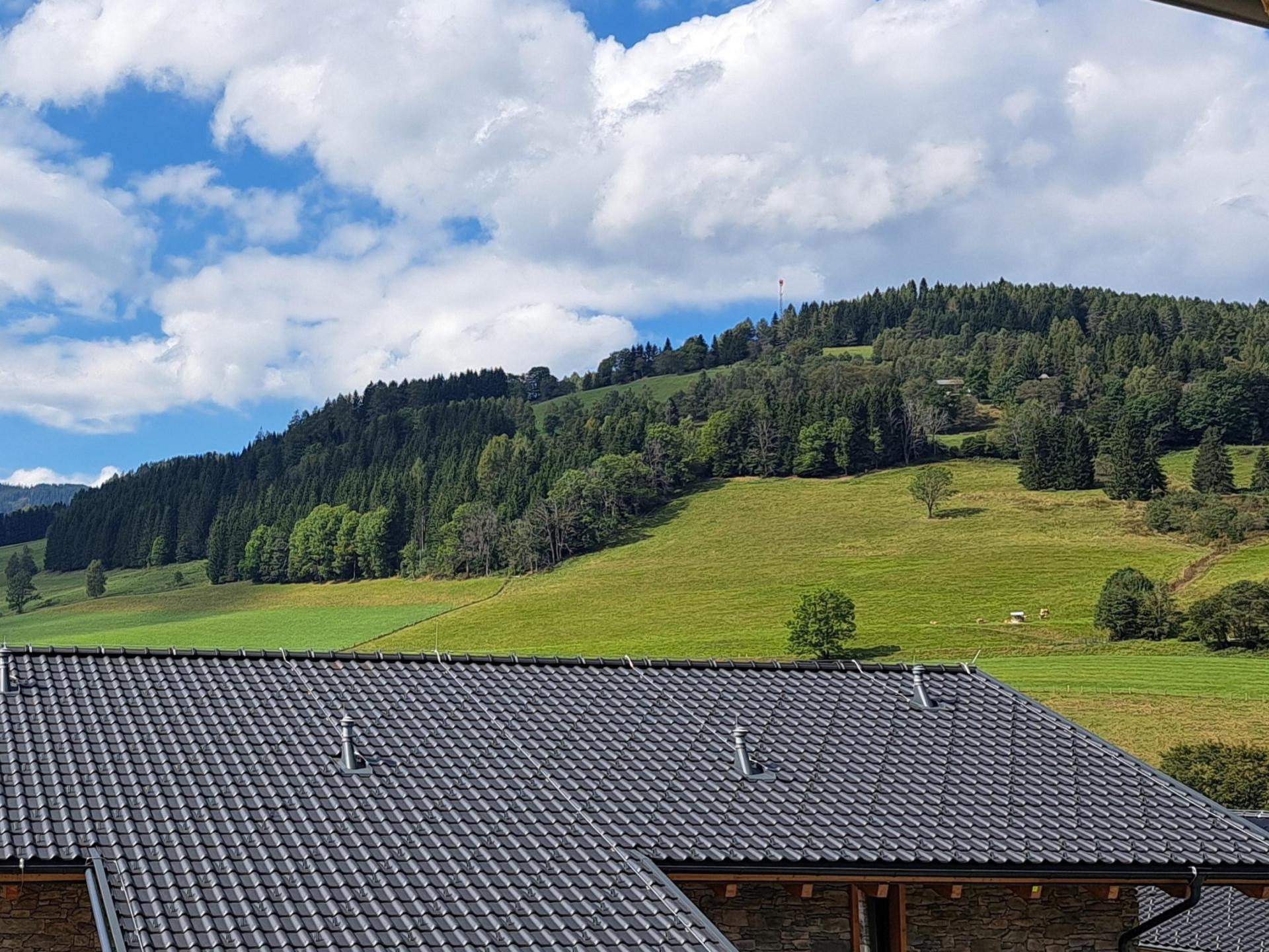 Vrijstaand vakantiehuis aan de piste in Sankt Lambrecht - foto 33