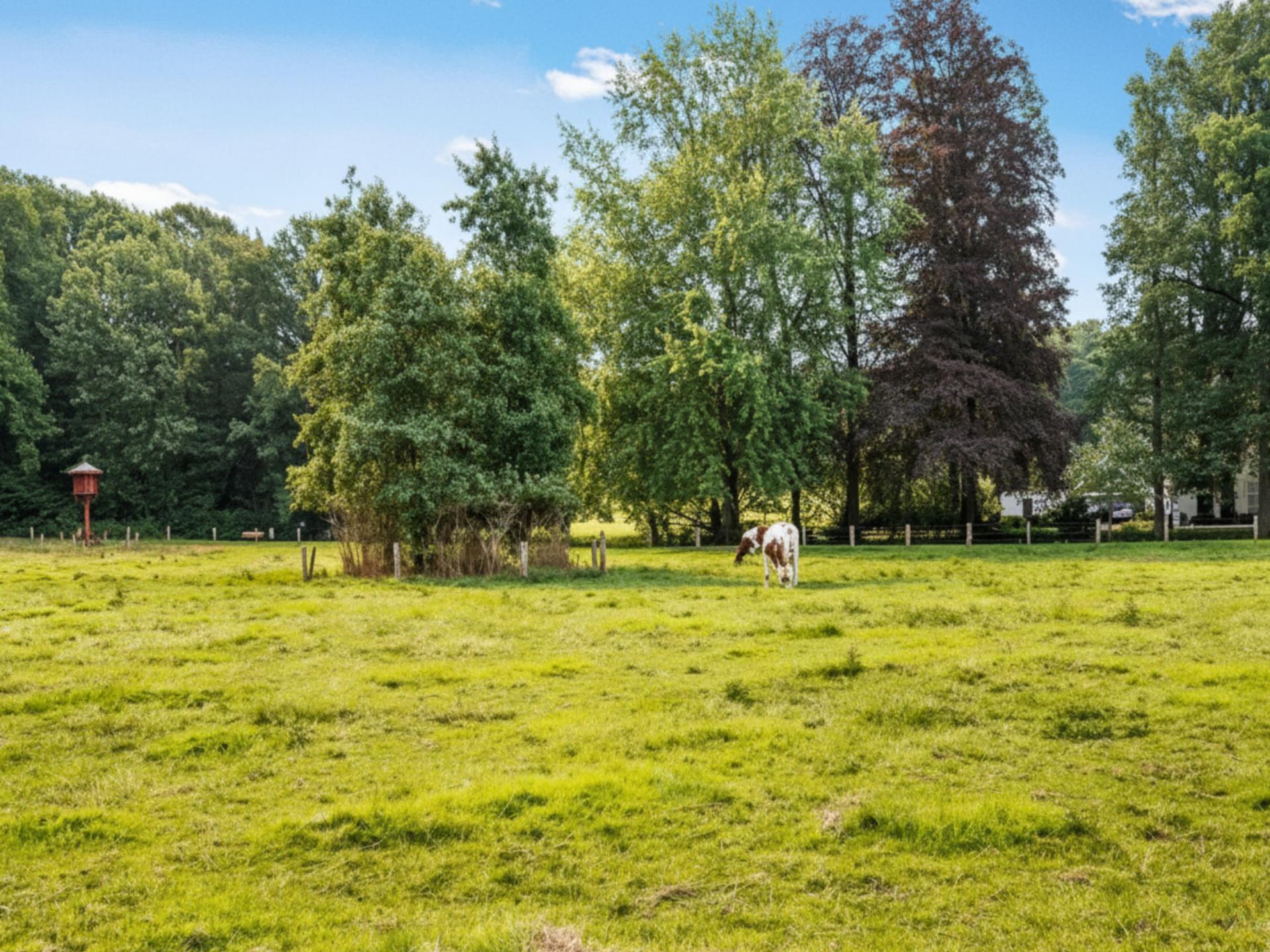Romantisch vakantiehuis met jacuzzi in de bossen bij Oldenzaal - foto 56