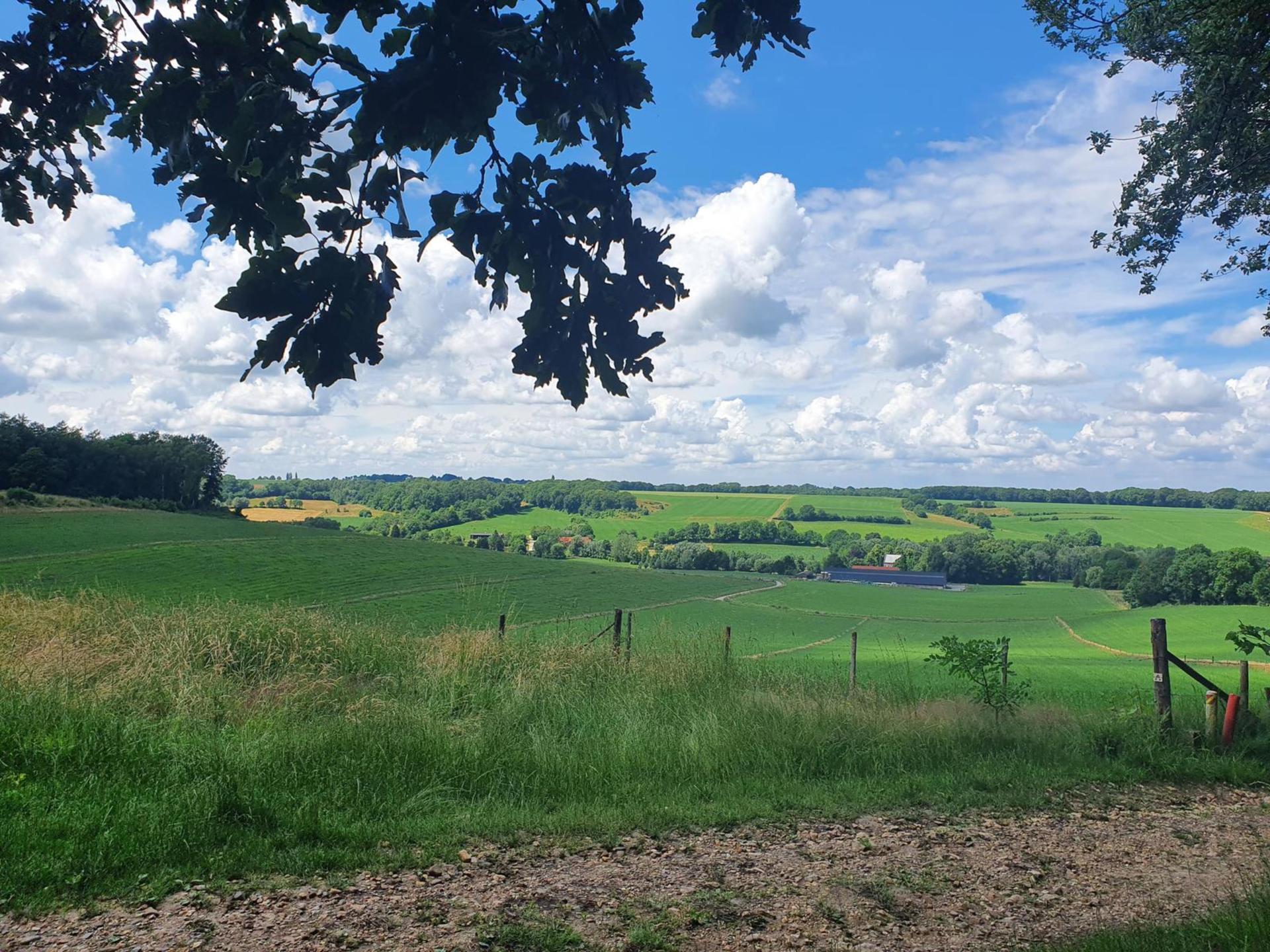 Knus vakantiehuis met hottub in heuvelachtig Zuid-Limburg - foto 34