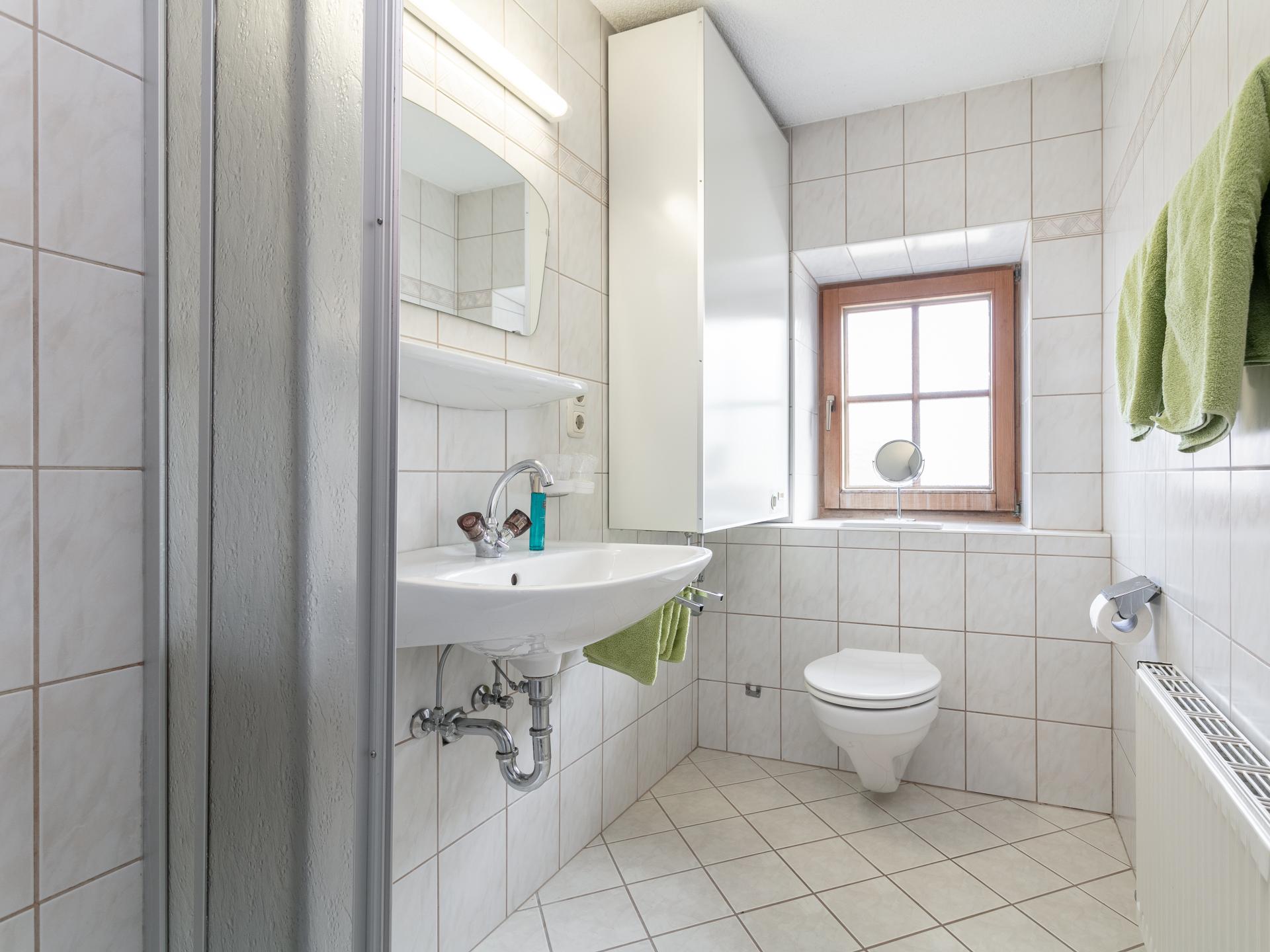 Authentiek boerderij-appartement voor 8 personen, 80 meter van de skibus - foto 22