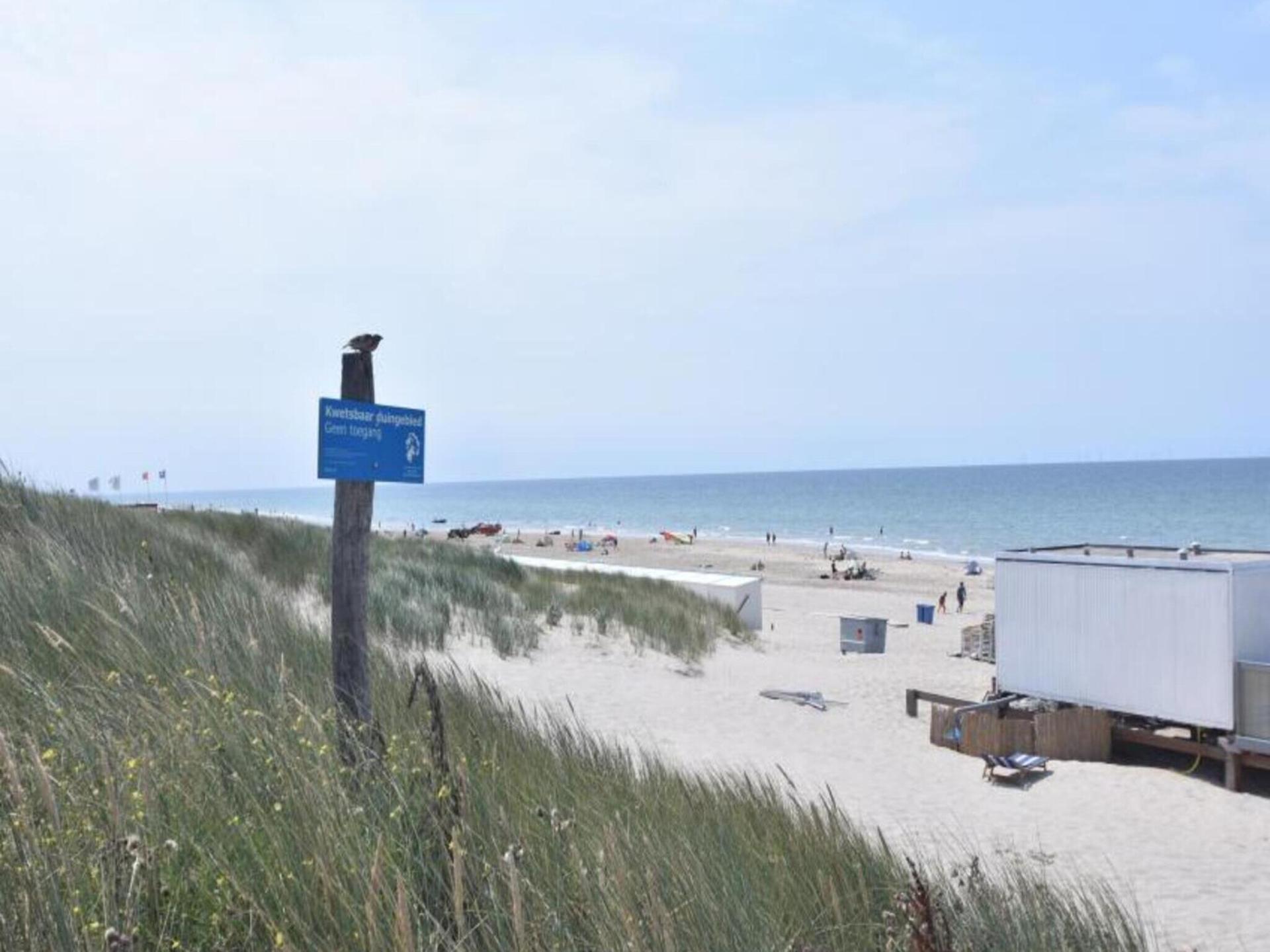 Vrijstaand vakantiehuis in groene weide bij kunstenaarsdorp Bergen - foto 25
