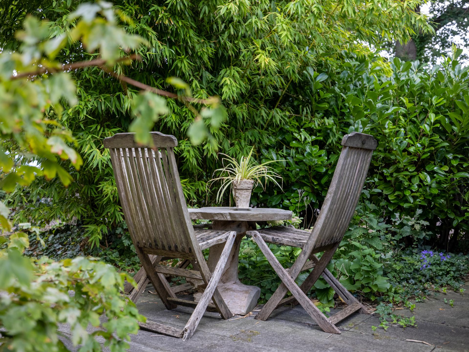 Charmant rietgedekt vakantiehuis in hartje Bergen, hond welkom - foto 14