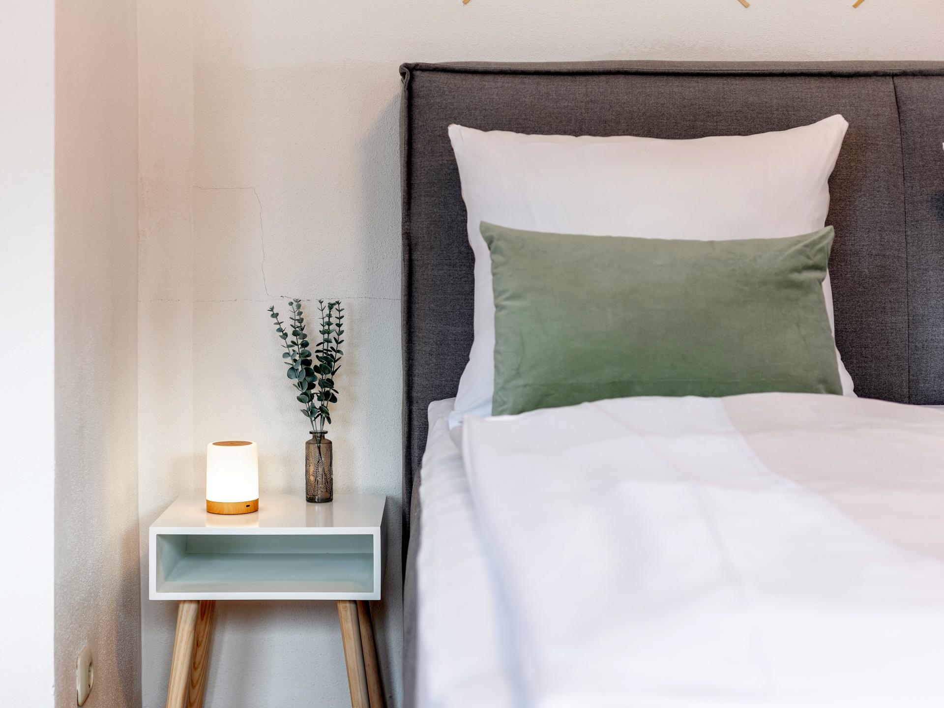 Ruim appartement in centrum Kirchberg met eigen sauna en tuin - foto 7