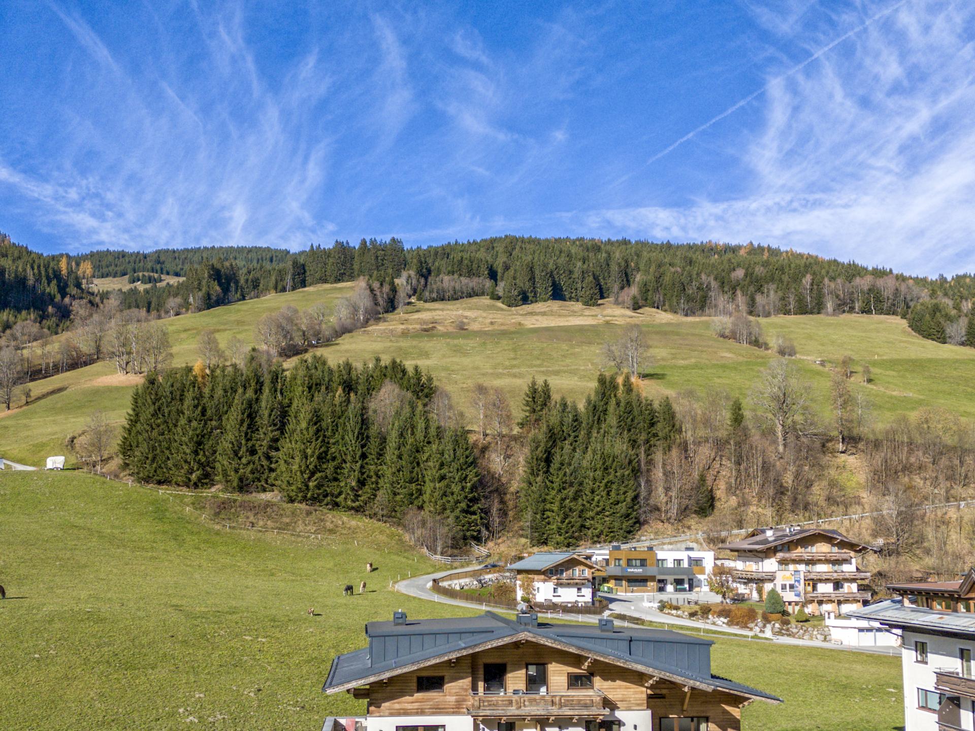 Penthouse met sauna aan de piste in Saalbach – 11 personen - foto 52