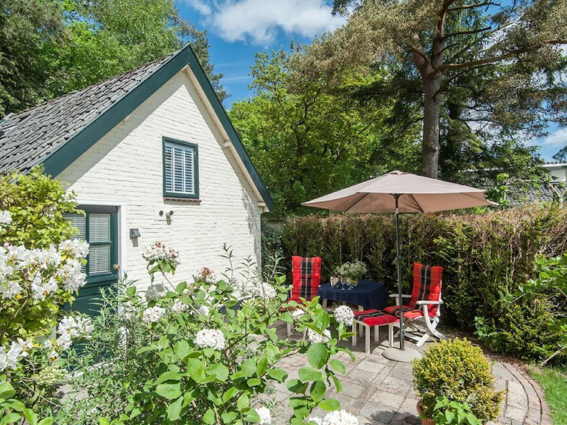 Knus vakantiehuis aan de rand van het bos in Schoorl – ideaal voor twee - foto 9