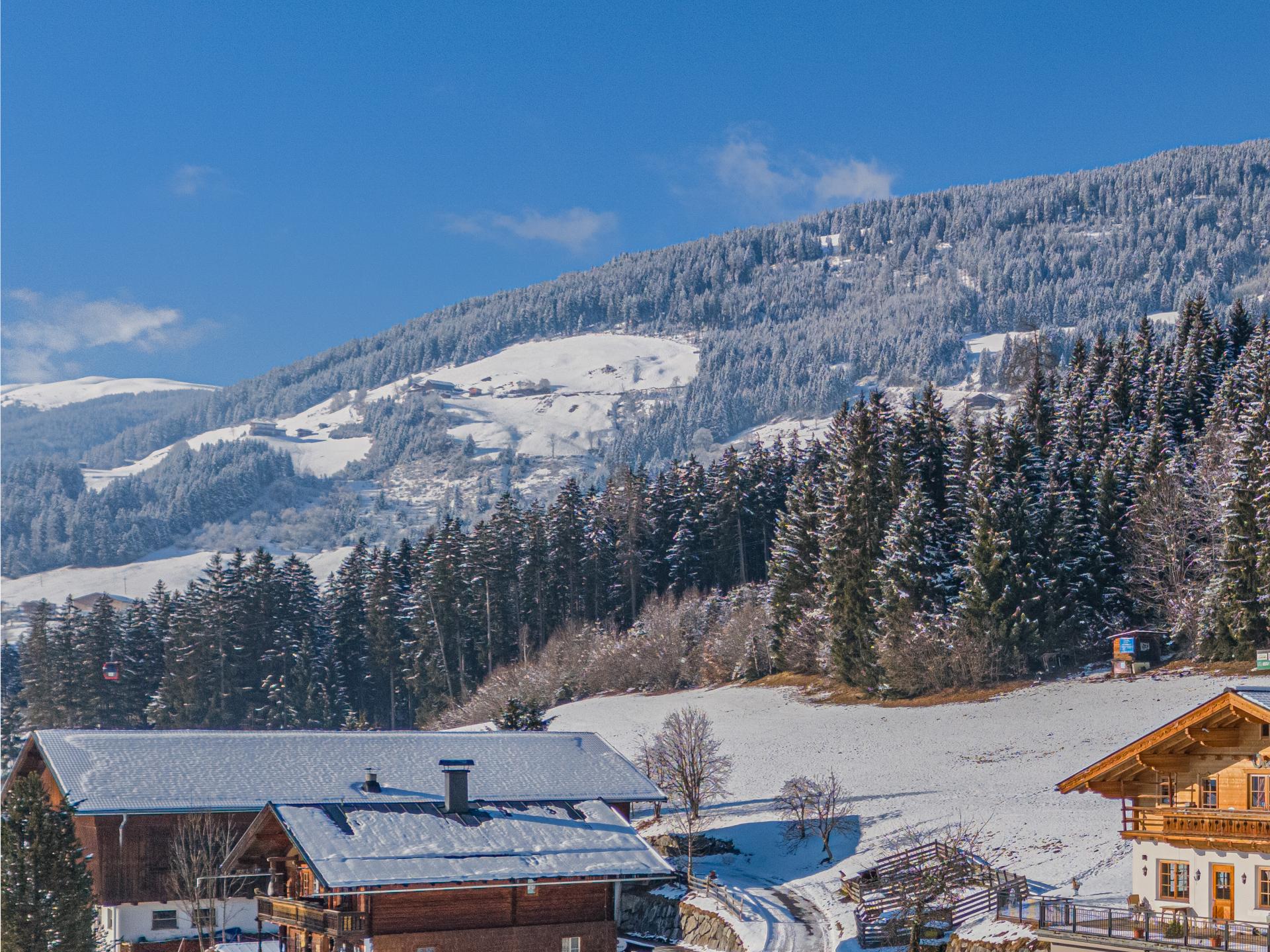 Centrum op 1,0 km: Ruim chalet voor 25 personen in Hollersbach im Pinzgau - foto 9
