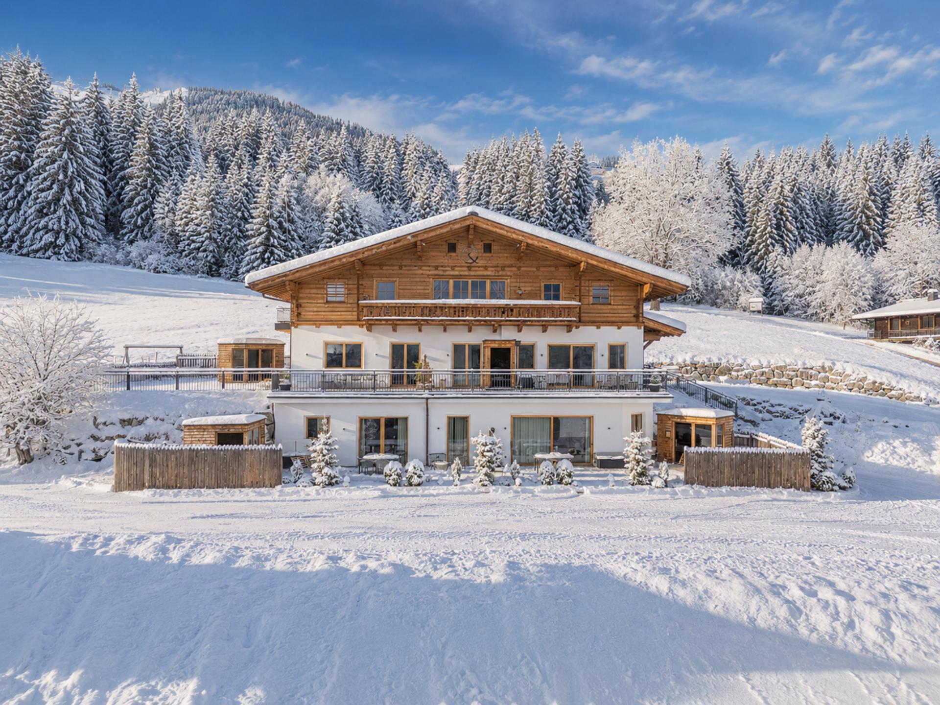 Op 1,5 km van de piste: exclusief appartement in Hollersbach im Pinzgau · 5 pers. - foto 24