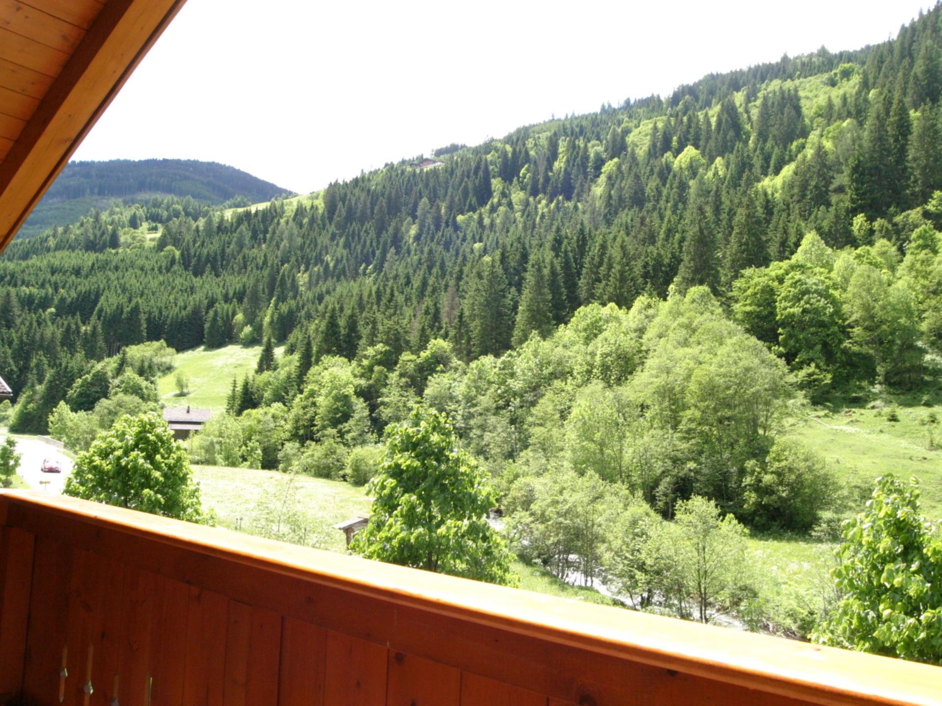 Centrum op 900m: sfeervol appartement aan de piste in Hüttschlag - foto 48