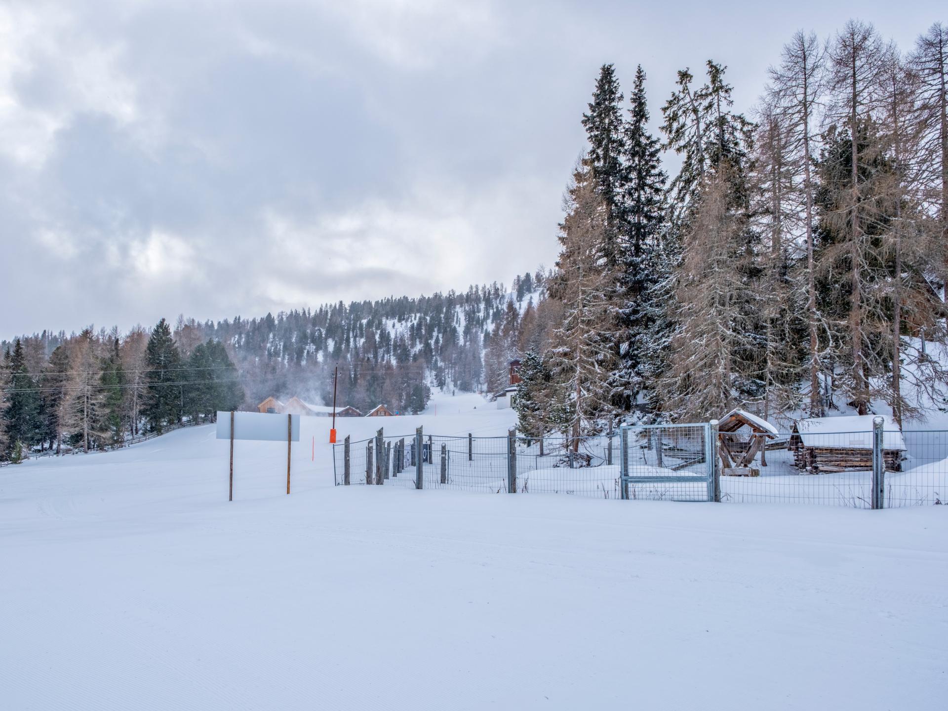 Elegant appartement met sauna en ski-in/ski-out in Weißpriach - foto 37