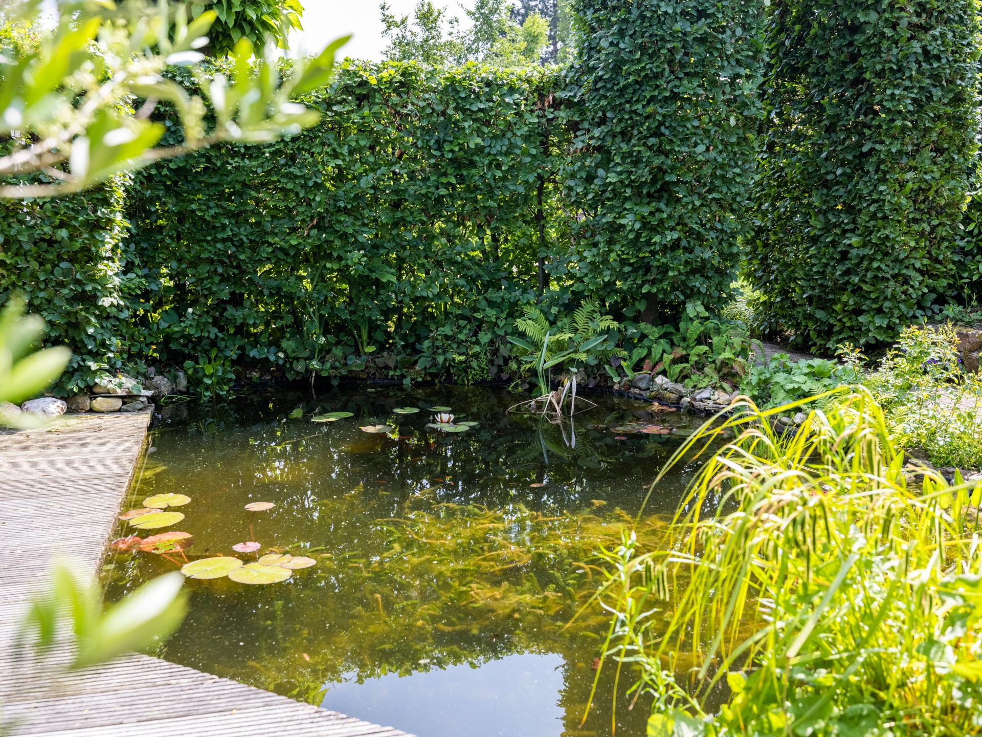 Vrijstaand vakantiehuis met tuin op 600m van het centrum van Bergen - foto 34