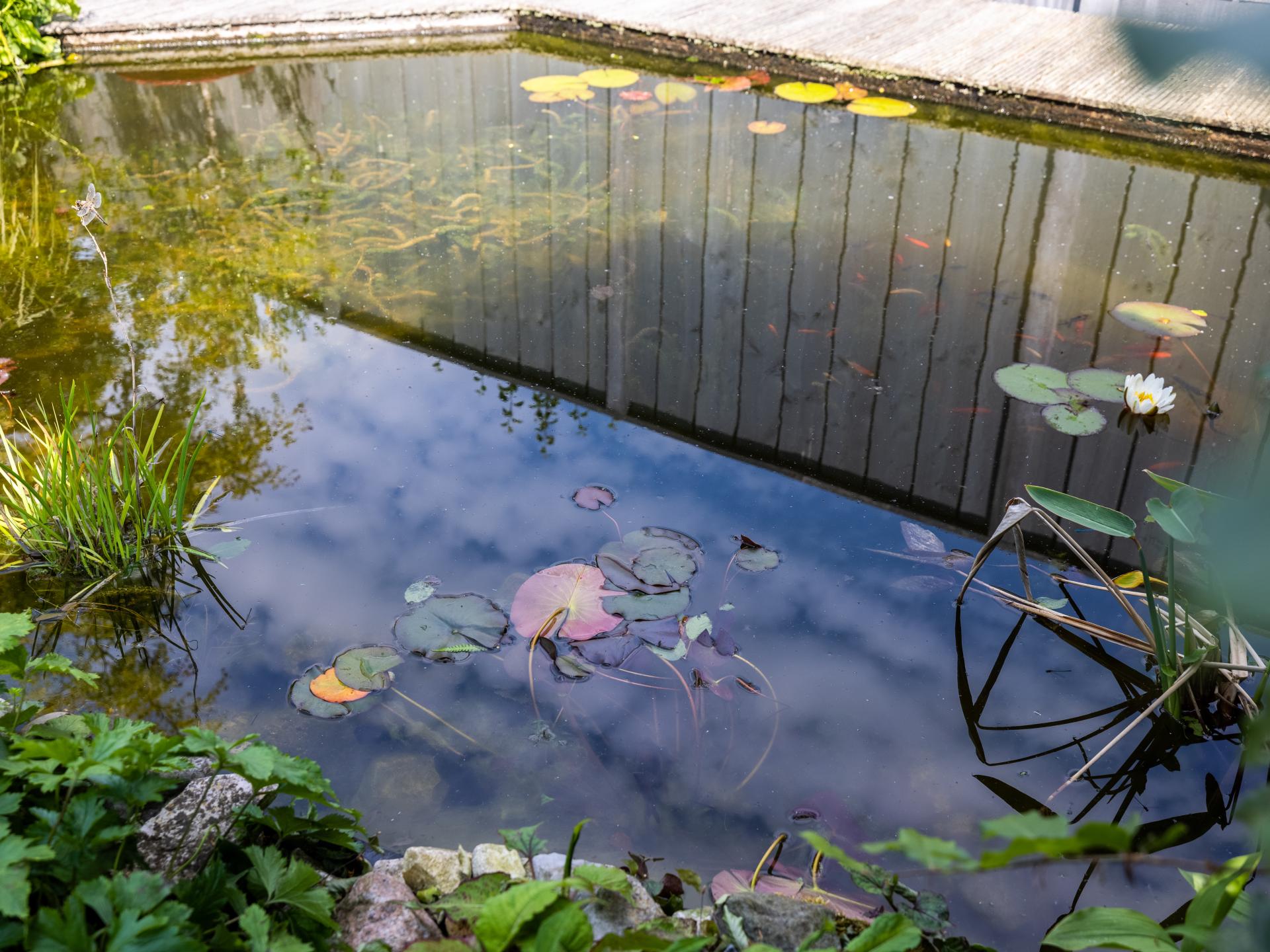 Vrijstaand vakantiehuis met tuin op 600m van het centrum van Bergen - foto 35