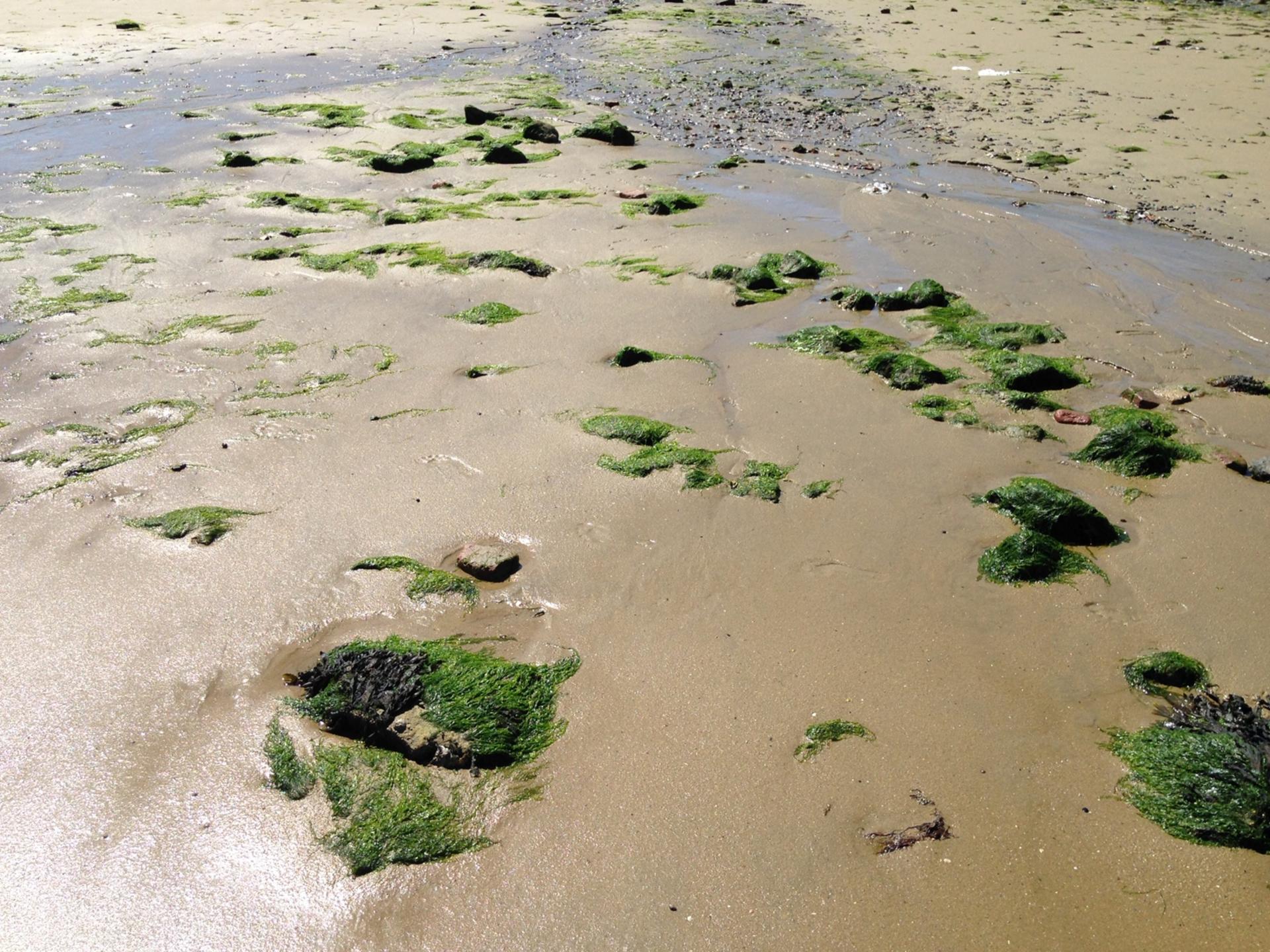 Knus vakantiehuis aan de Oosterschelde met waterterras in Kattendijke - foto 44