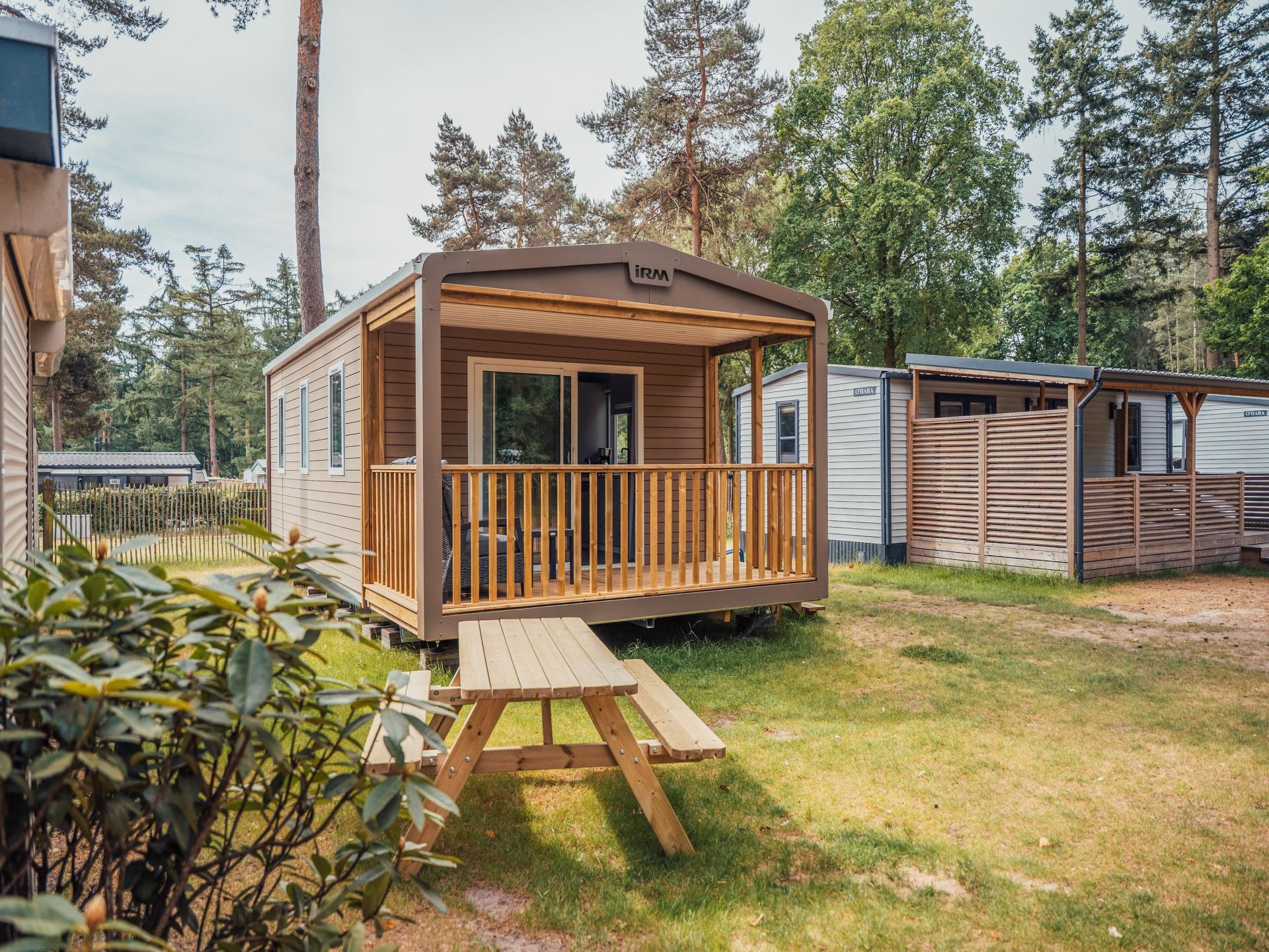 Modern chalet met luxe badkamer en beschut terras in bosrijk Vessem - foto 10