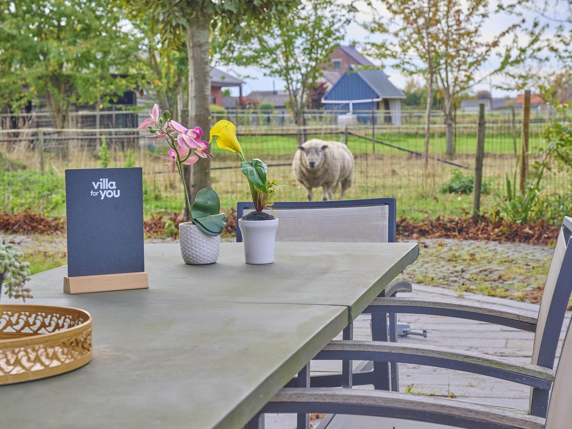 4-persoons ruim vakantiehuis met terras in Geetbets - foto 31