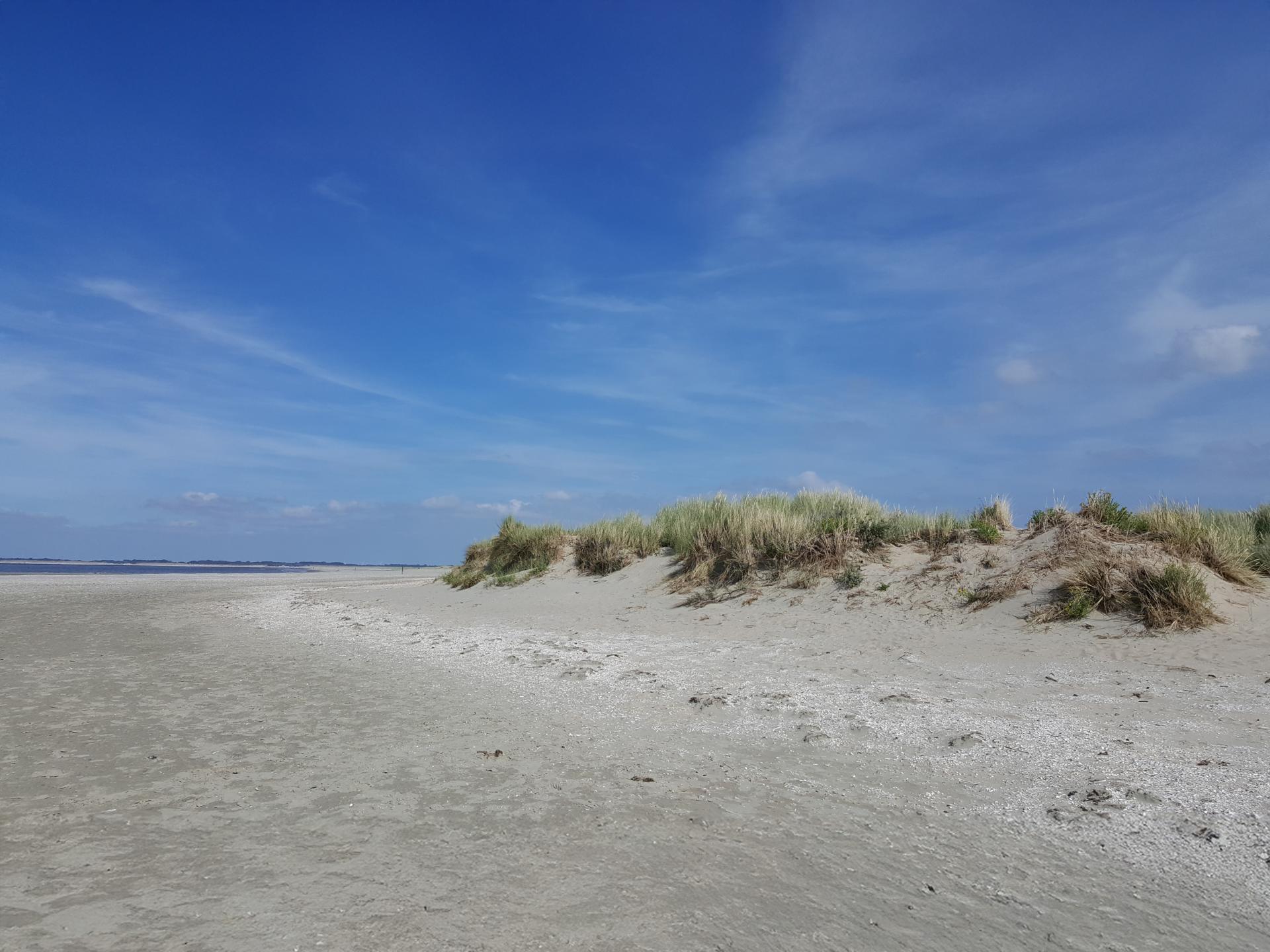 Knus chalet met grote tuin op kleinschalig park nabij strand Goedereede - foto 39