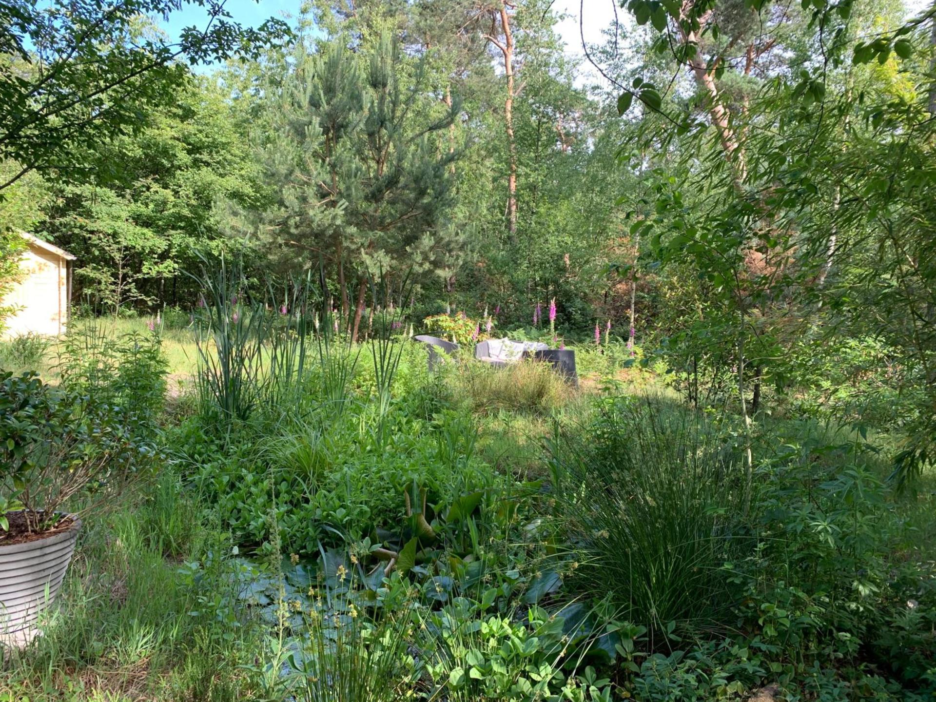 Sprookjesachtig vakantiehuis in het bos bij Baarle-Nassau voor 9 personen - foto 27