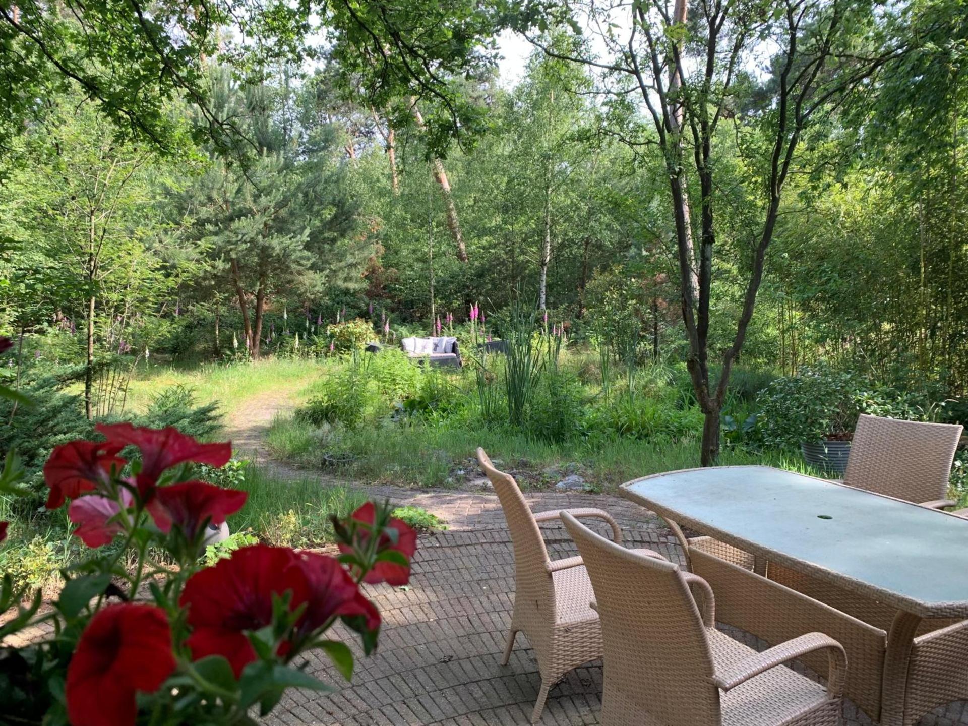 Sprookjesachtig vakantiehuis in het bos bij Baarle-Nassau voor 9 personen - foto 25