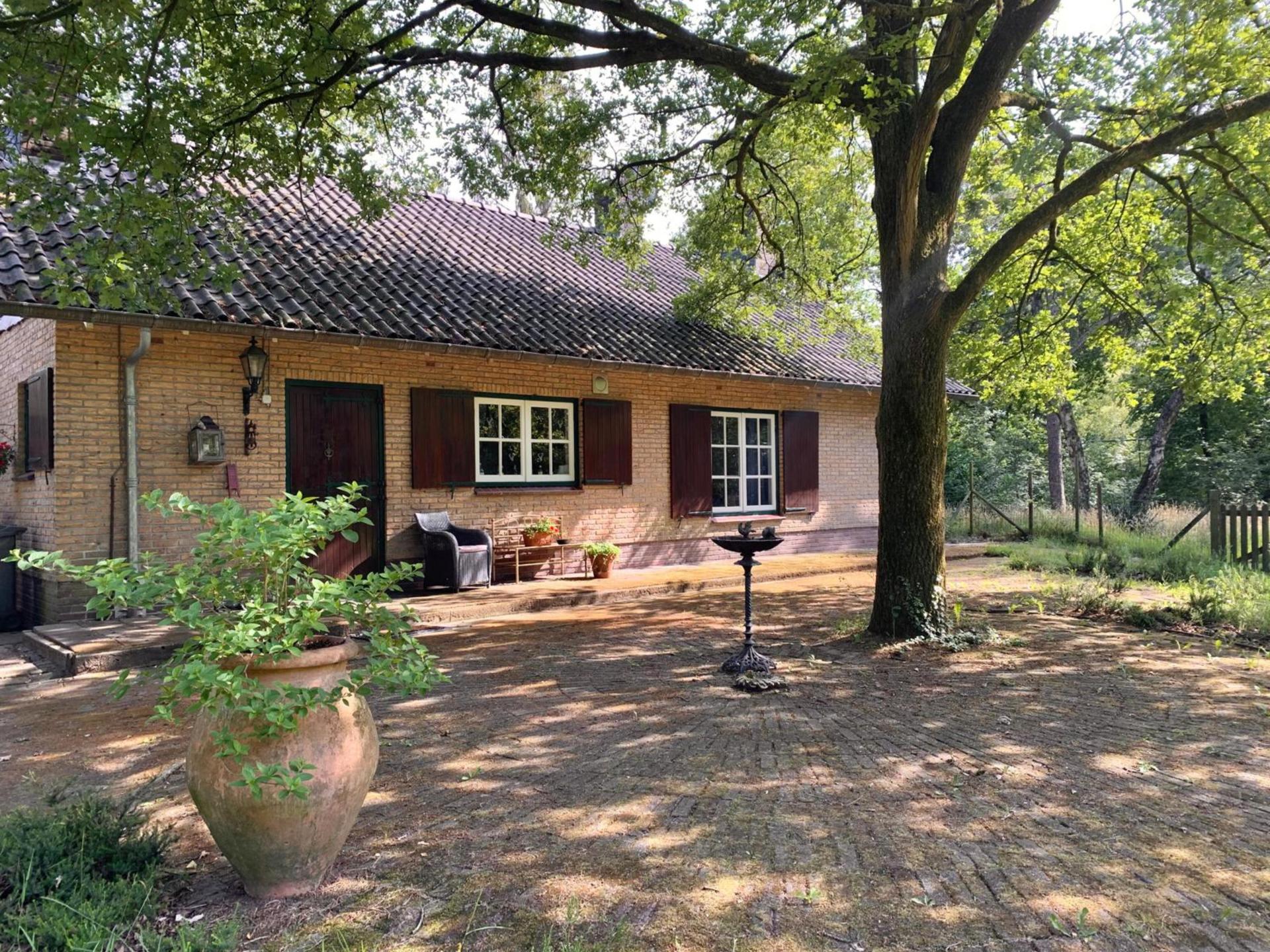 Sprookjesachtig vakantiehuis in het bos bij Baarle-Nassau voor 9 personen - foto 3