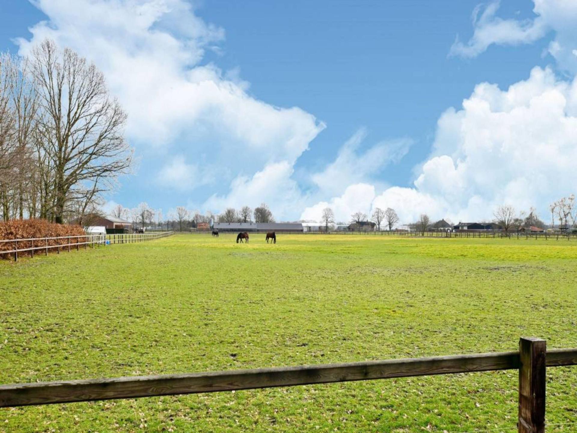 Huisdiervriendelijk familiehuis op park in bosrijk Meijel, nabij De Groote Peel - foto 37